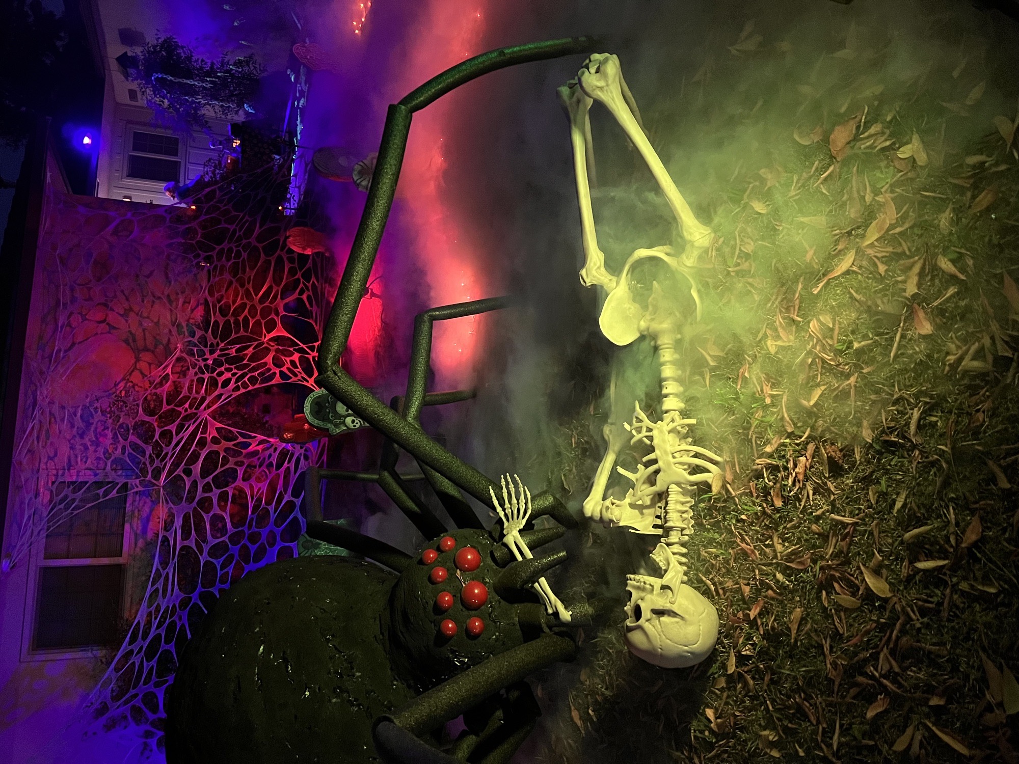 Angus Street Haunt