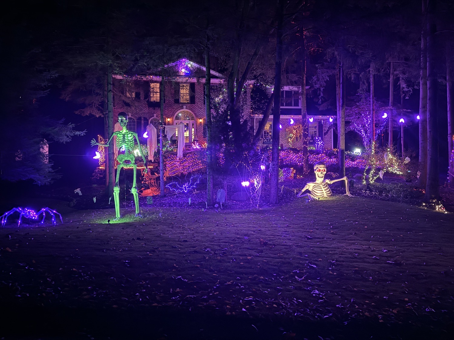 Hamburg Haunted Mansion