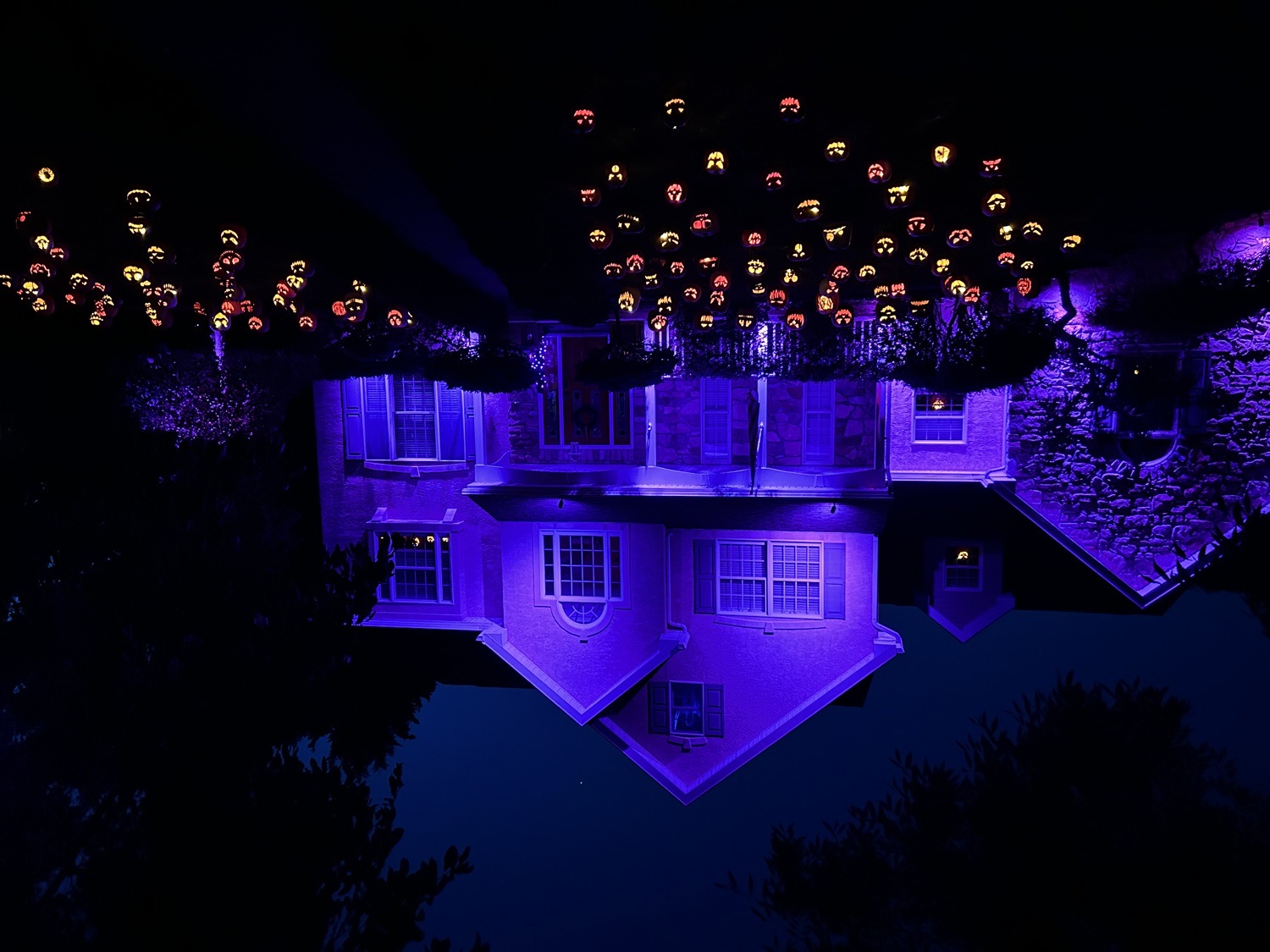 house of Jacks