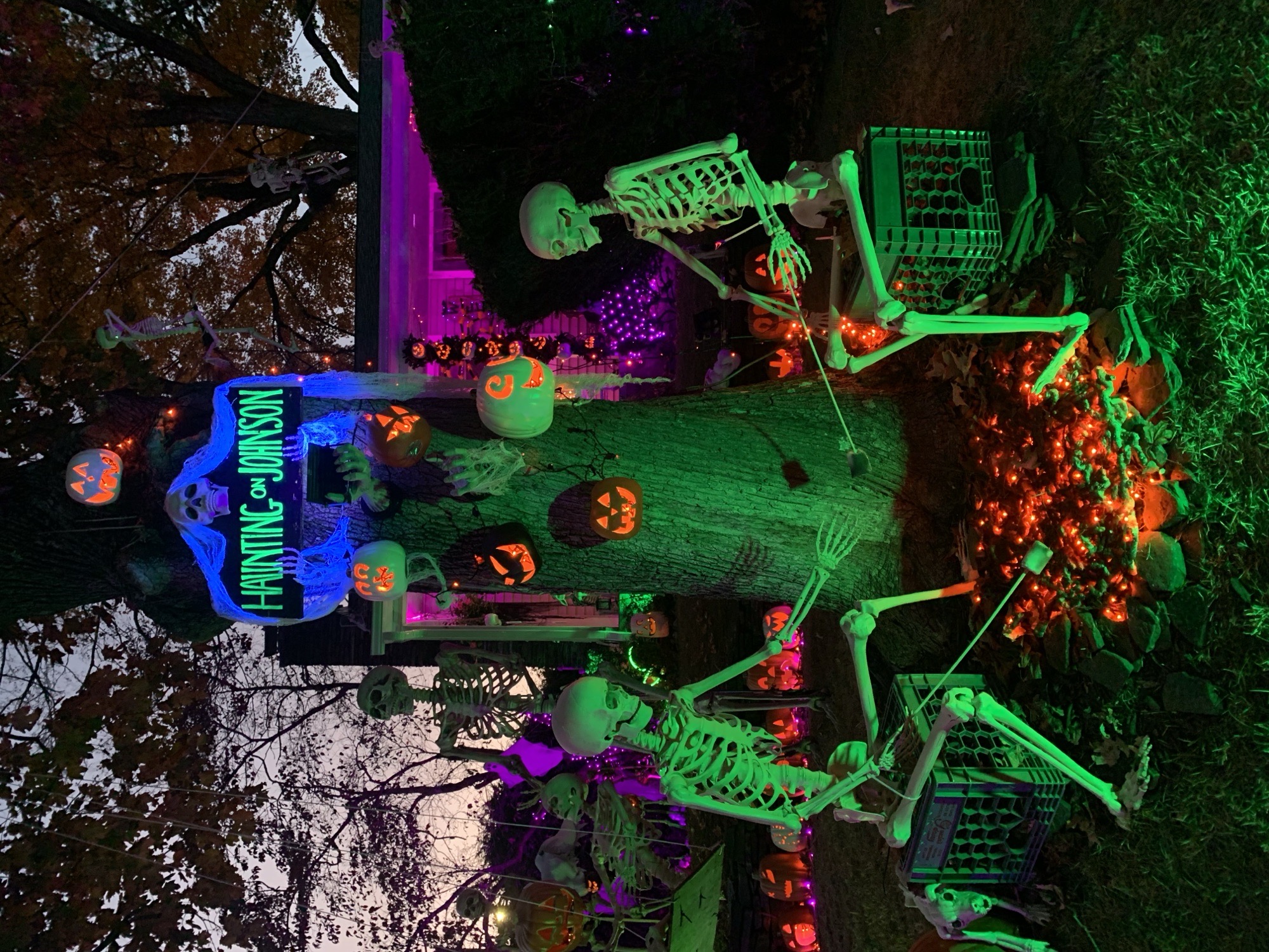 House Of Skeletons