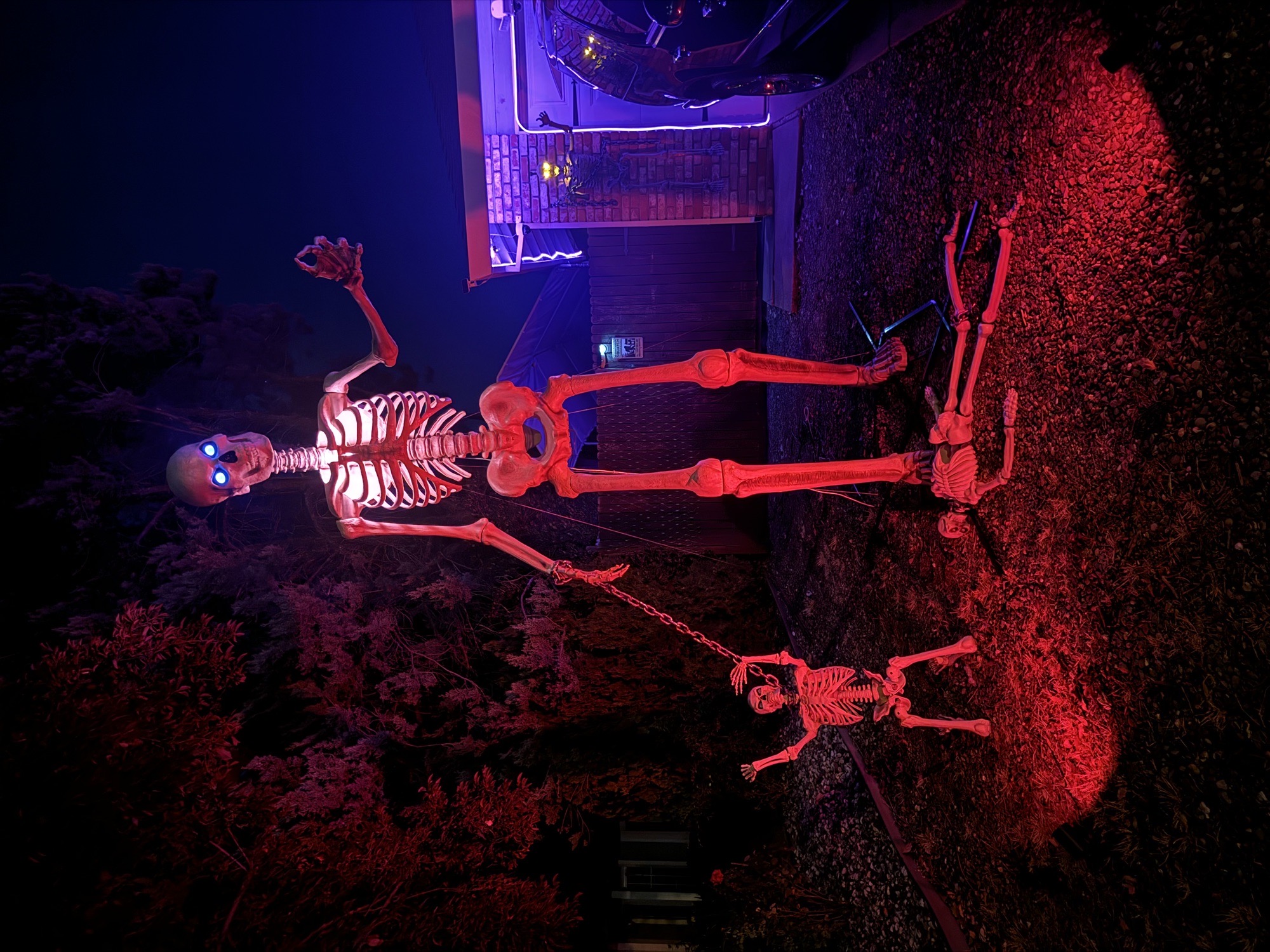 Halloween Horror 2024! Allan Drive!