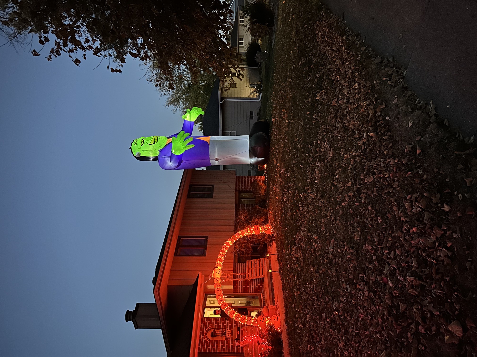 Giant Frankenstein