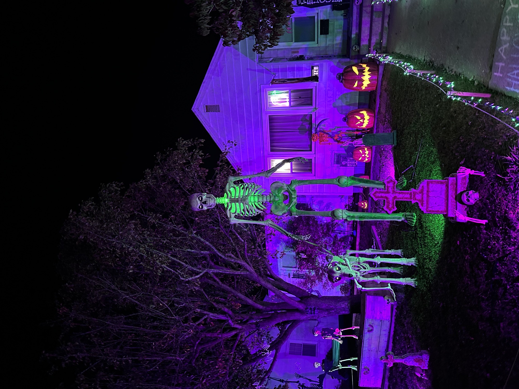 The Purple House.