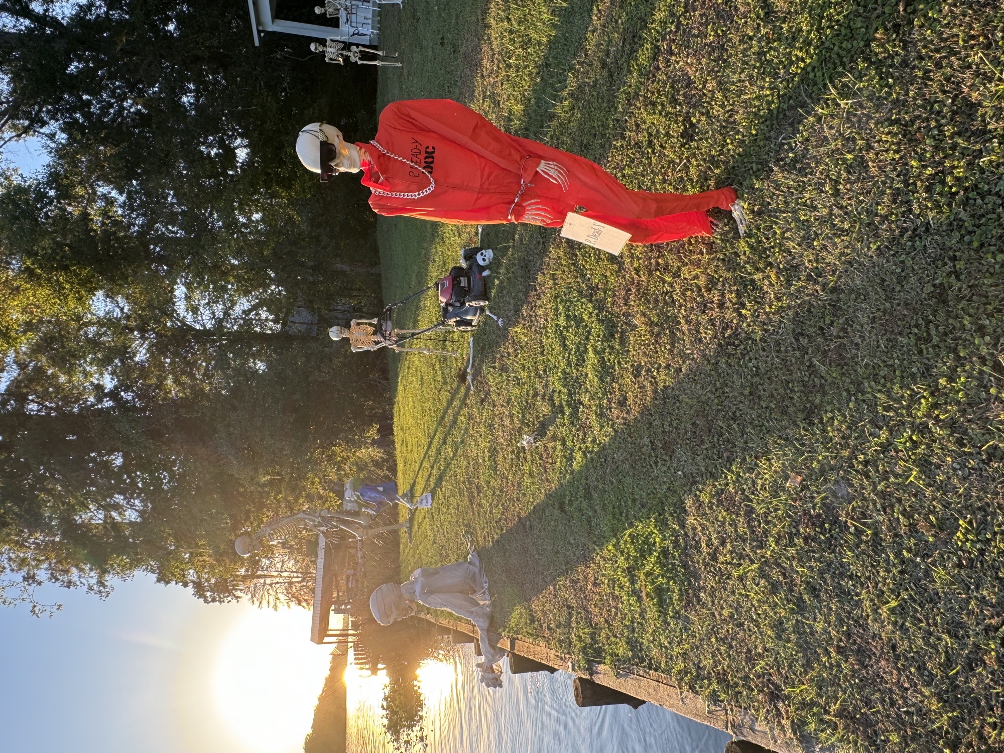 Halloween In The swamp