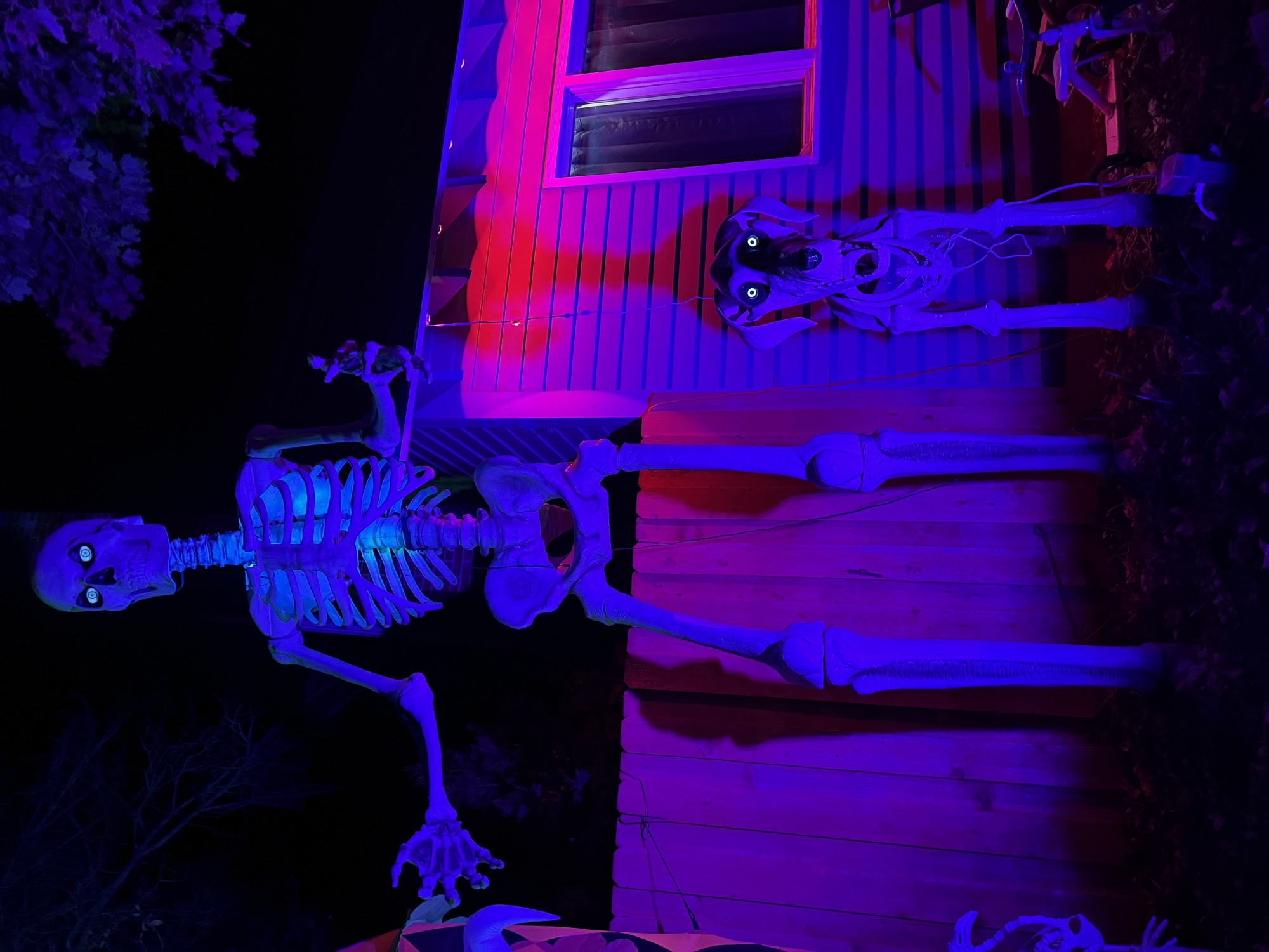 Haunted 504
