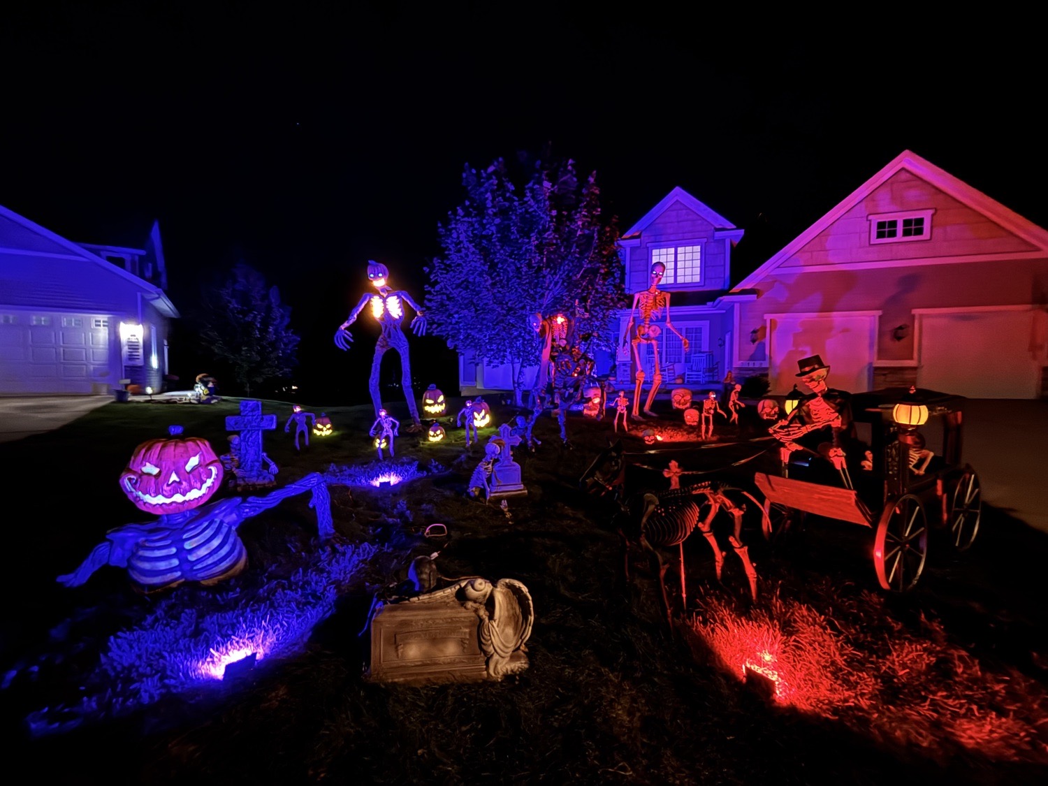 🎃🦴 The Battle of Deep Rose: Pumpkin King vs. Bone Crusher!