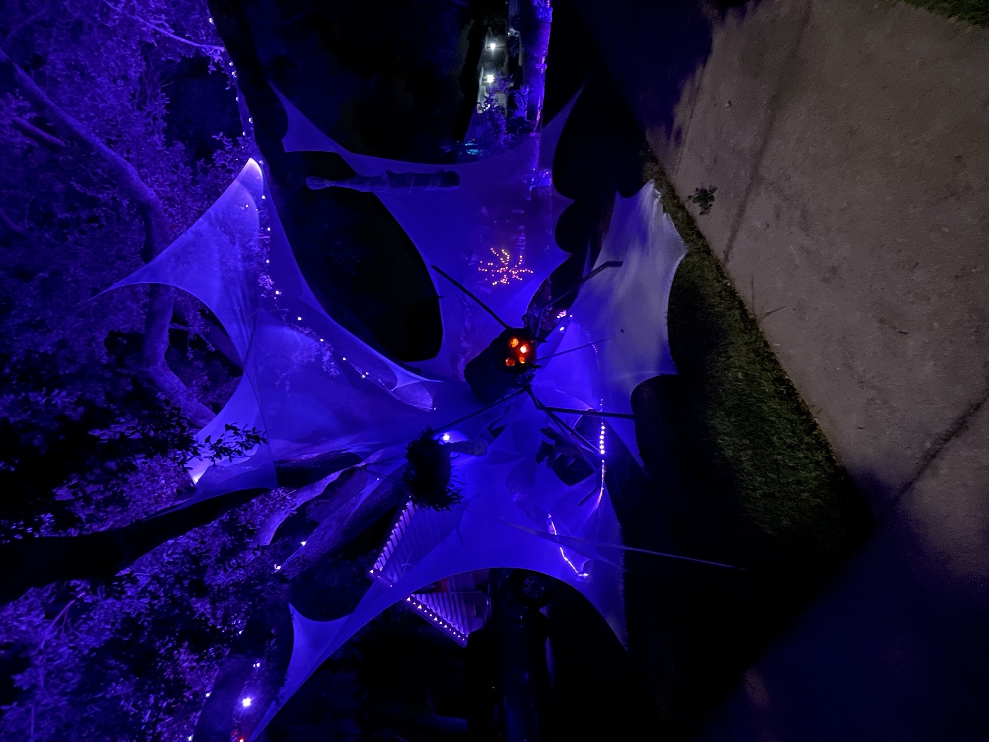 Arachnophobia