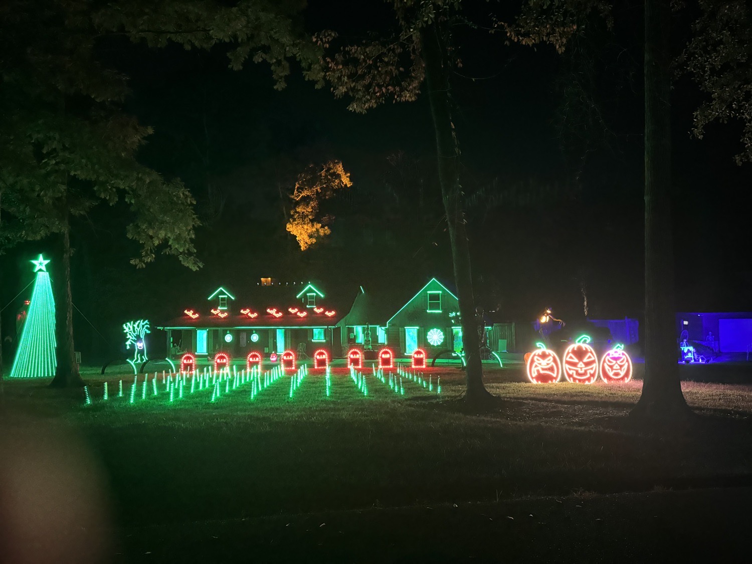 Dynamic Light Shows