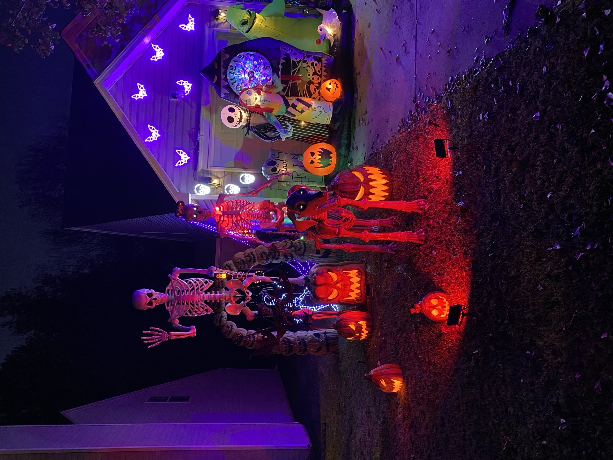 Skeletons And Pumpkin Theme