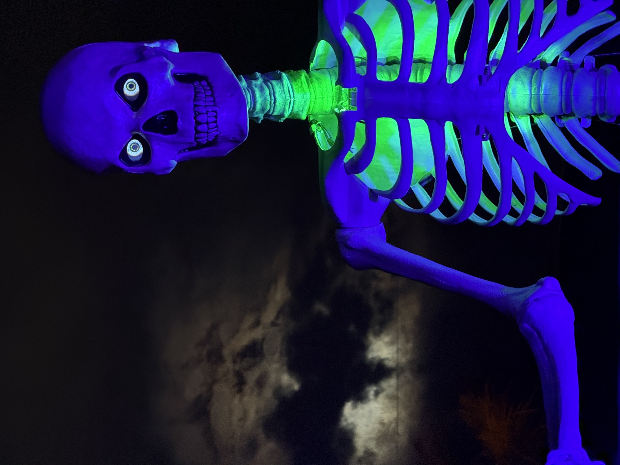 Skelly Helle