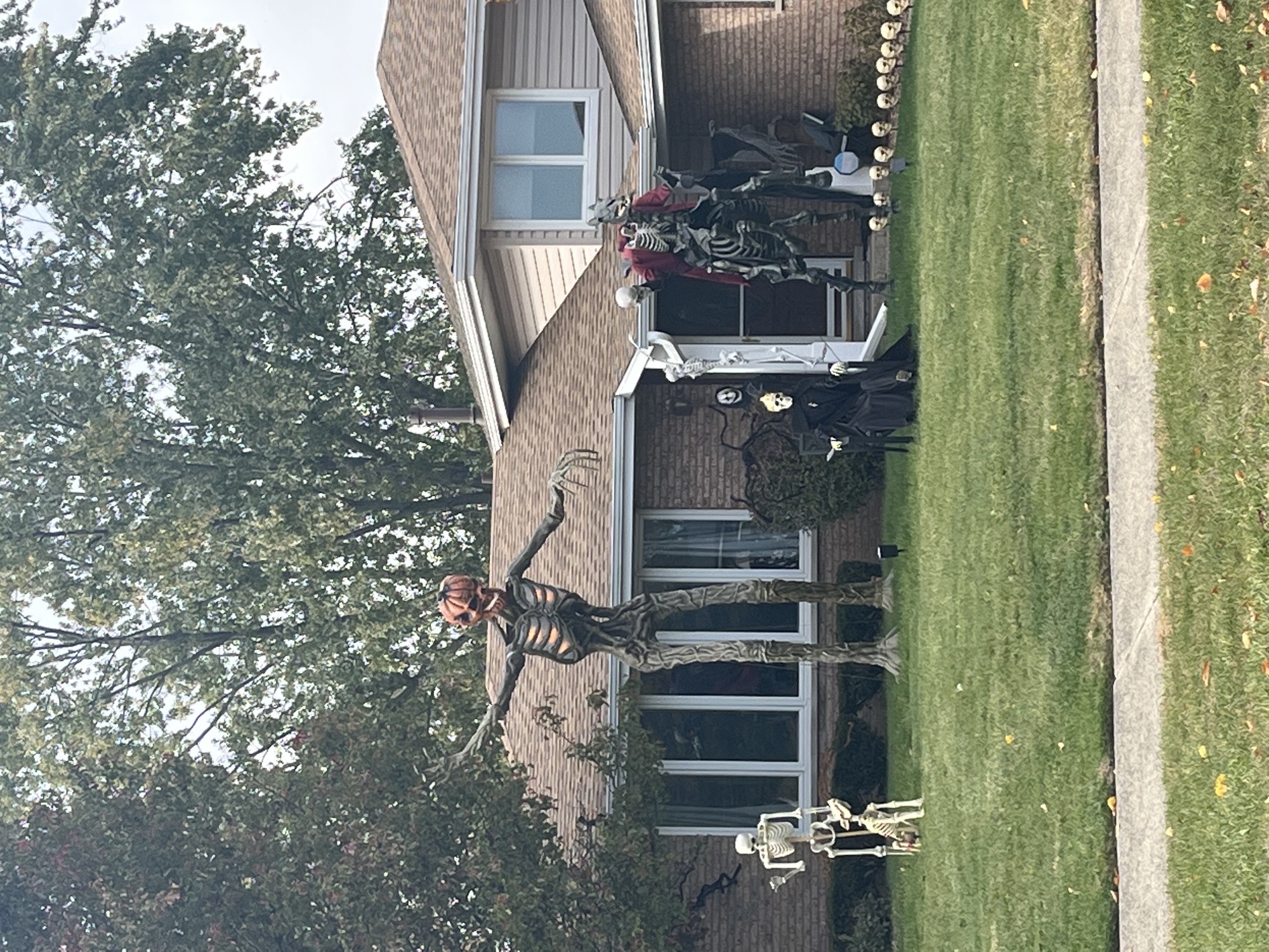 The Glowing Skeleton