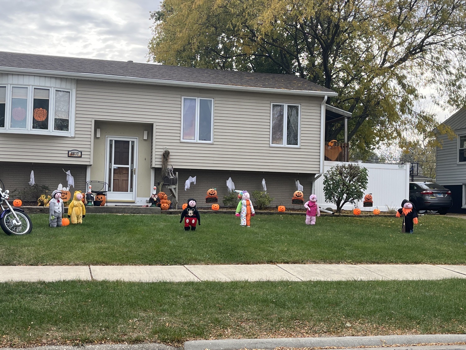 Trick Or Treat