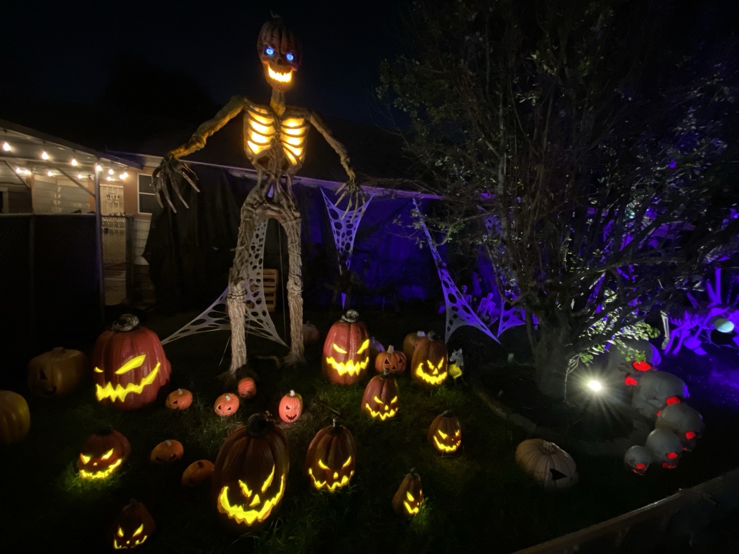 The Skeleton House