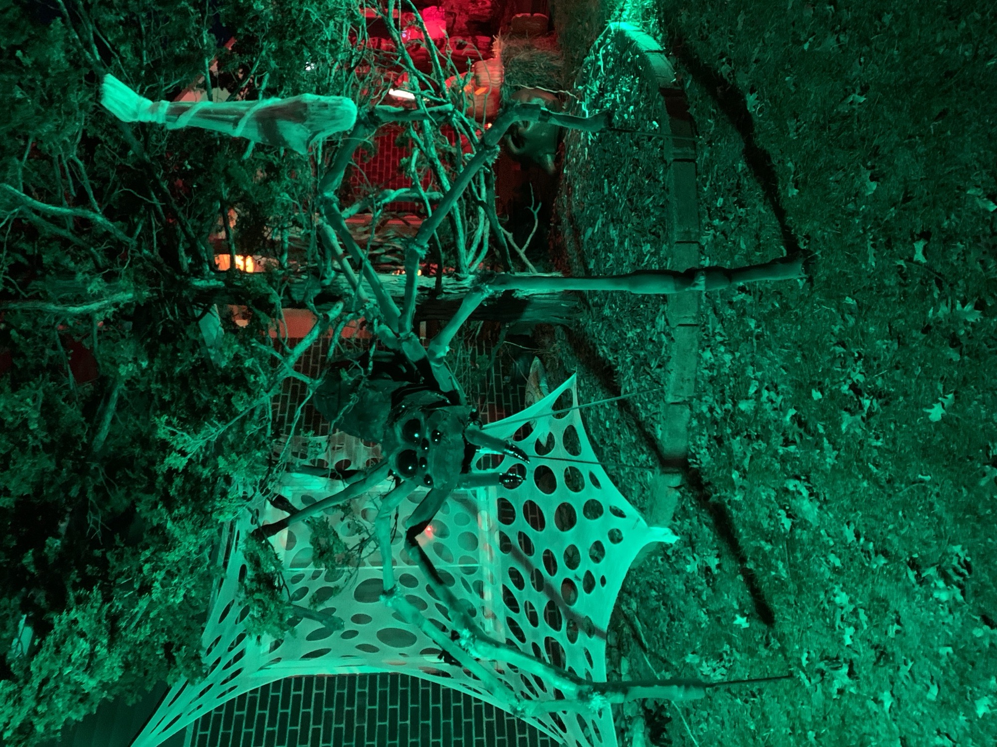 Haunting At Cherry Run Manor