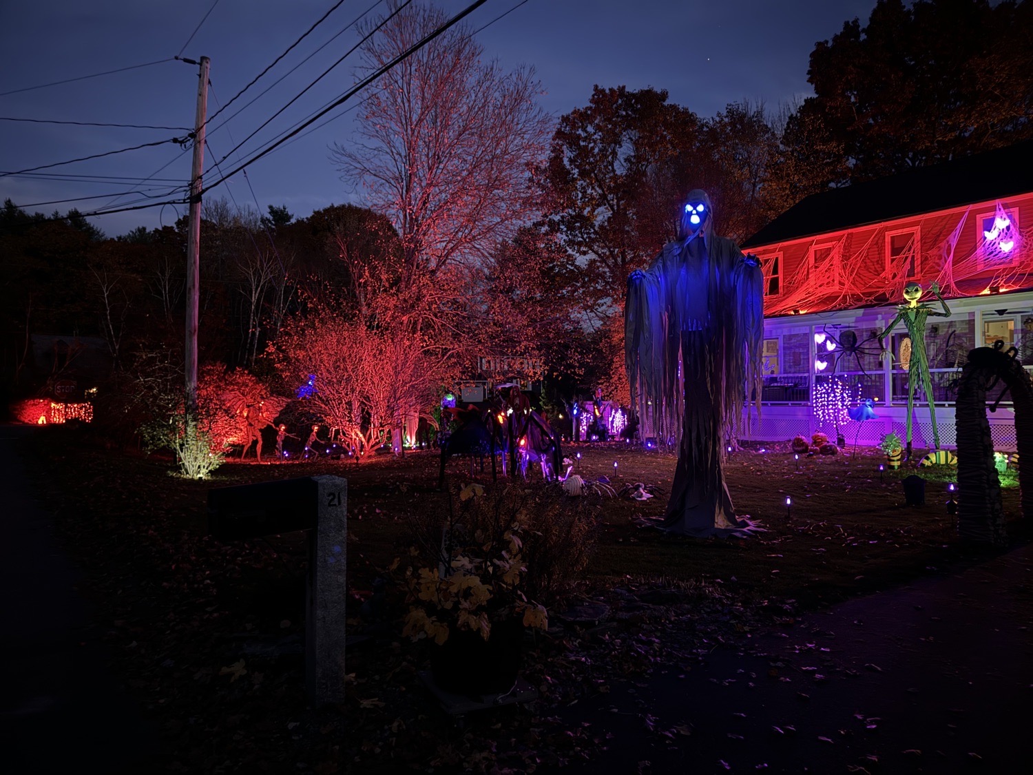 Haunted Trail