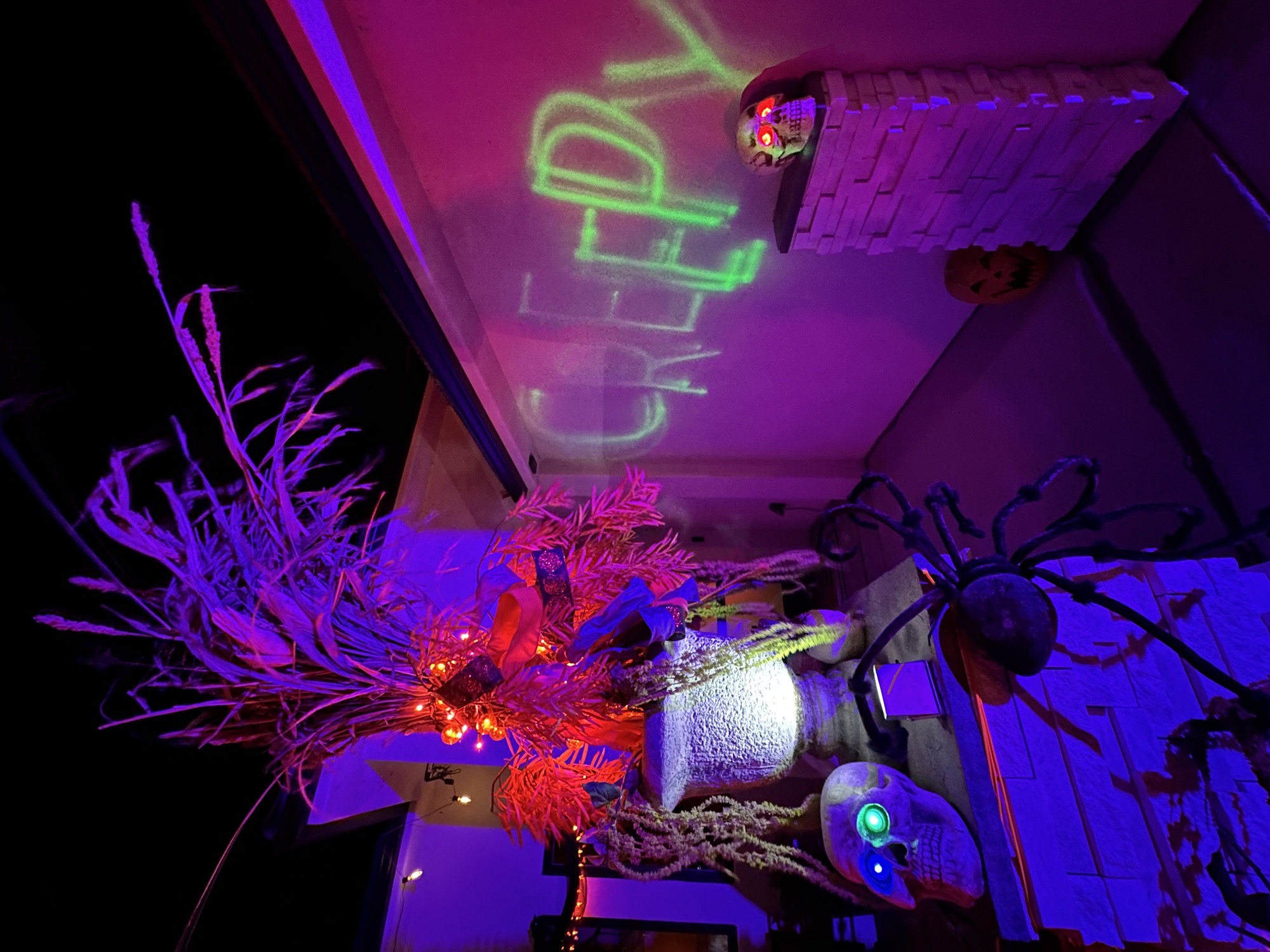 Manic Manor