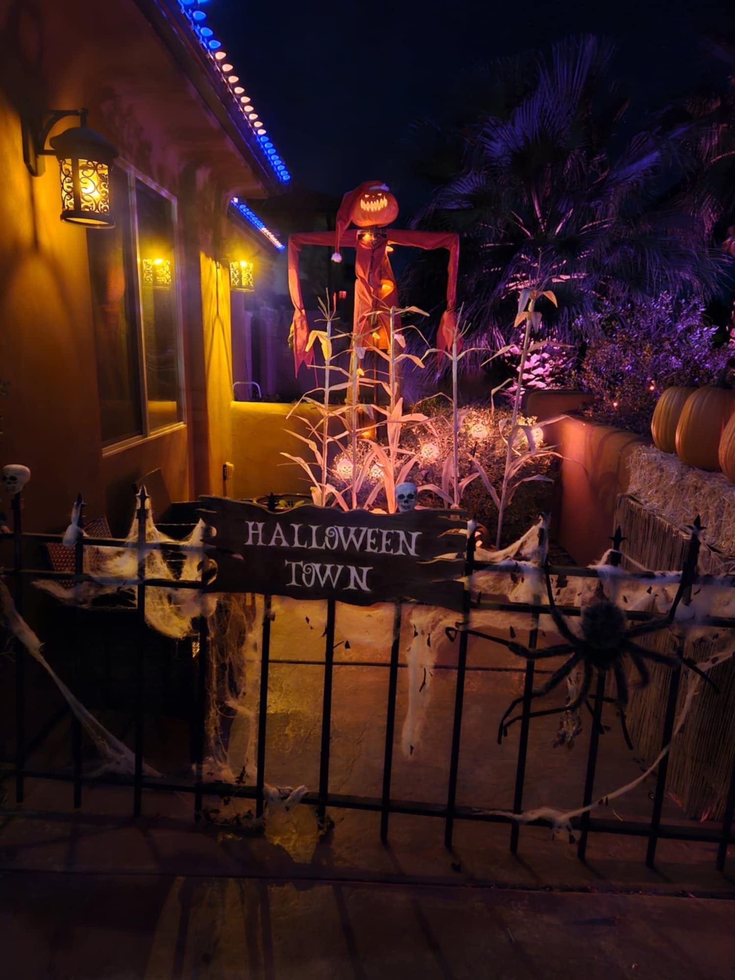 Wilson Haunt