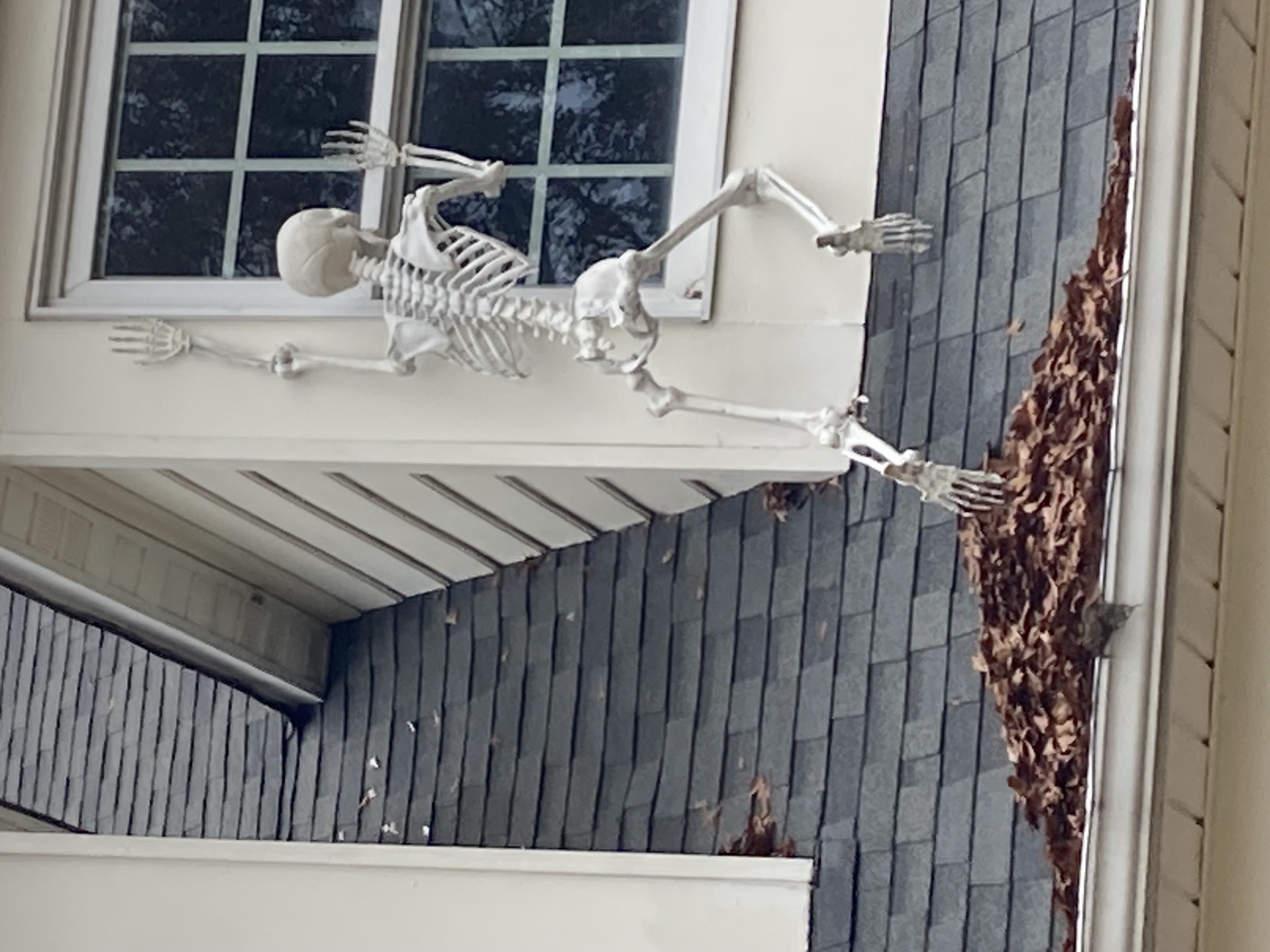 Haunted Daycare