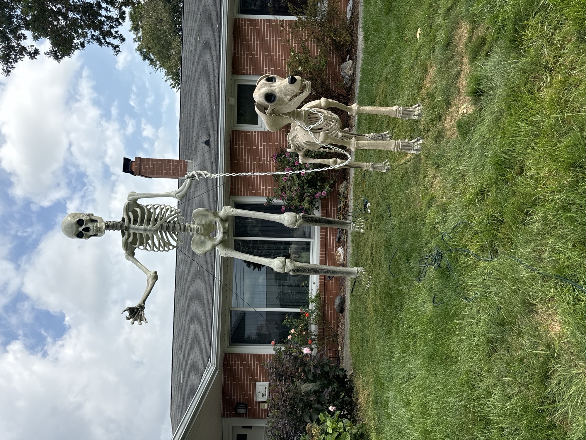 12 Foot Skelly