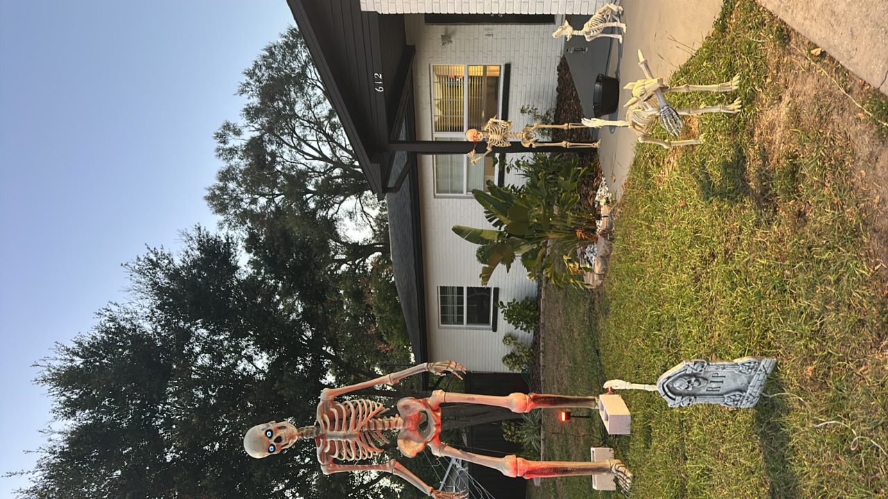 TRICK OR TREAT