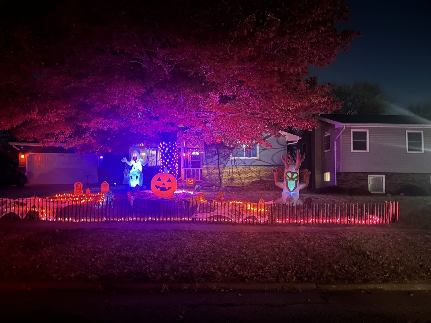 Pumpkin Ghosts On Kaplan