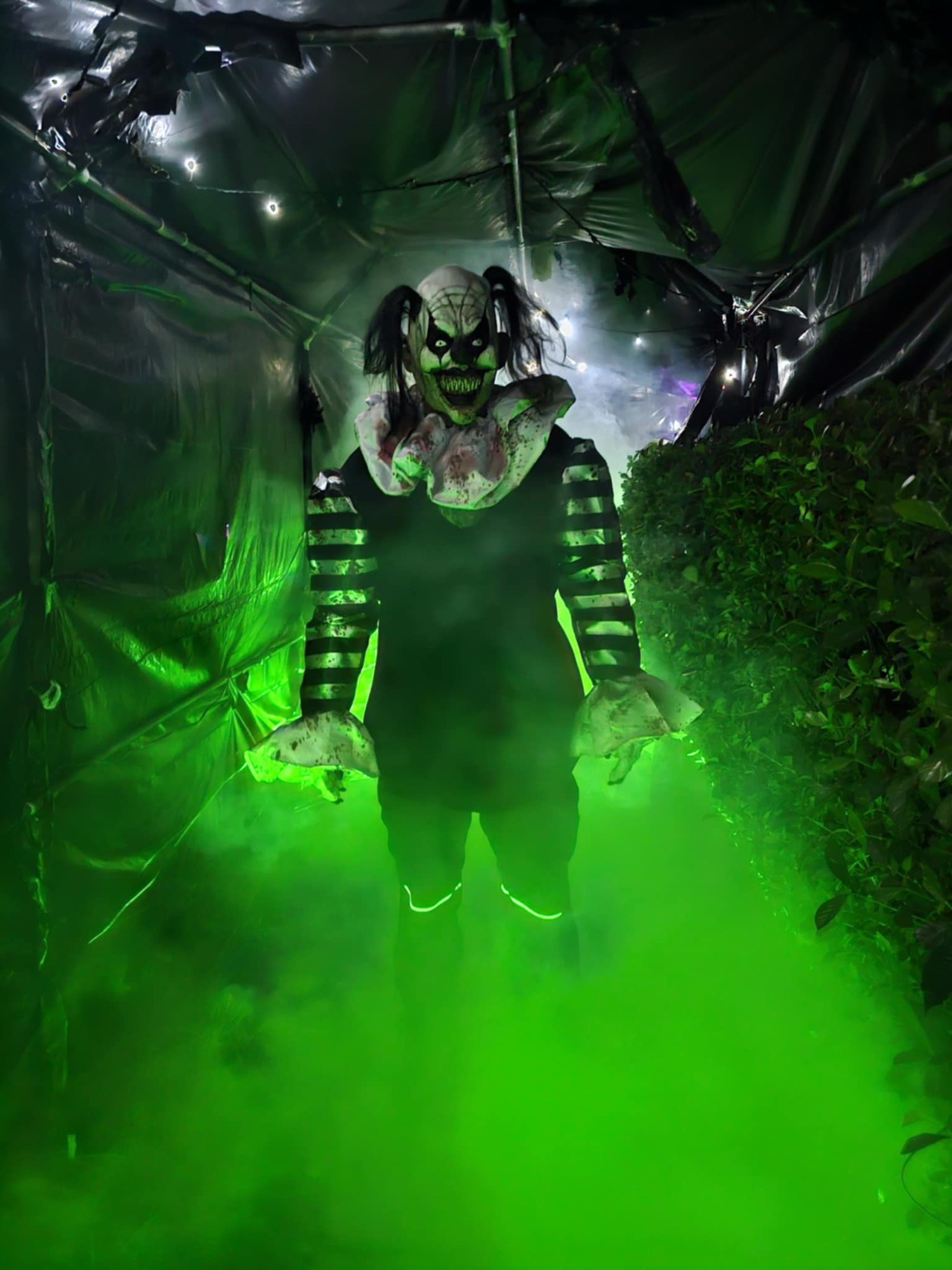 Menlo Haunt