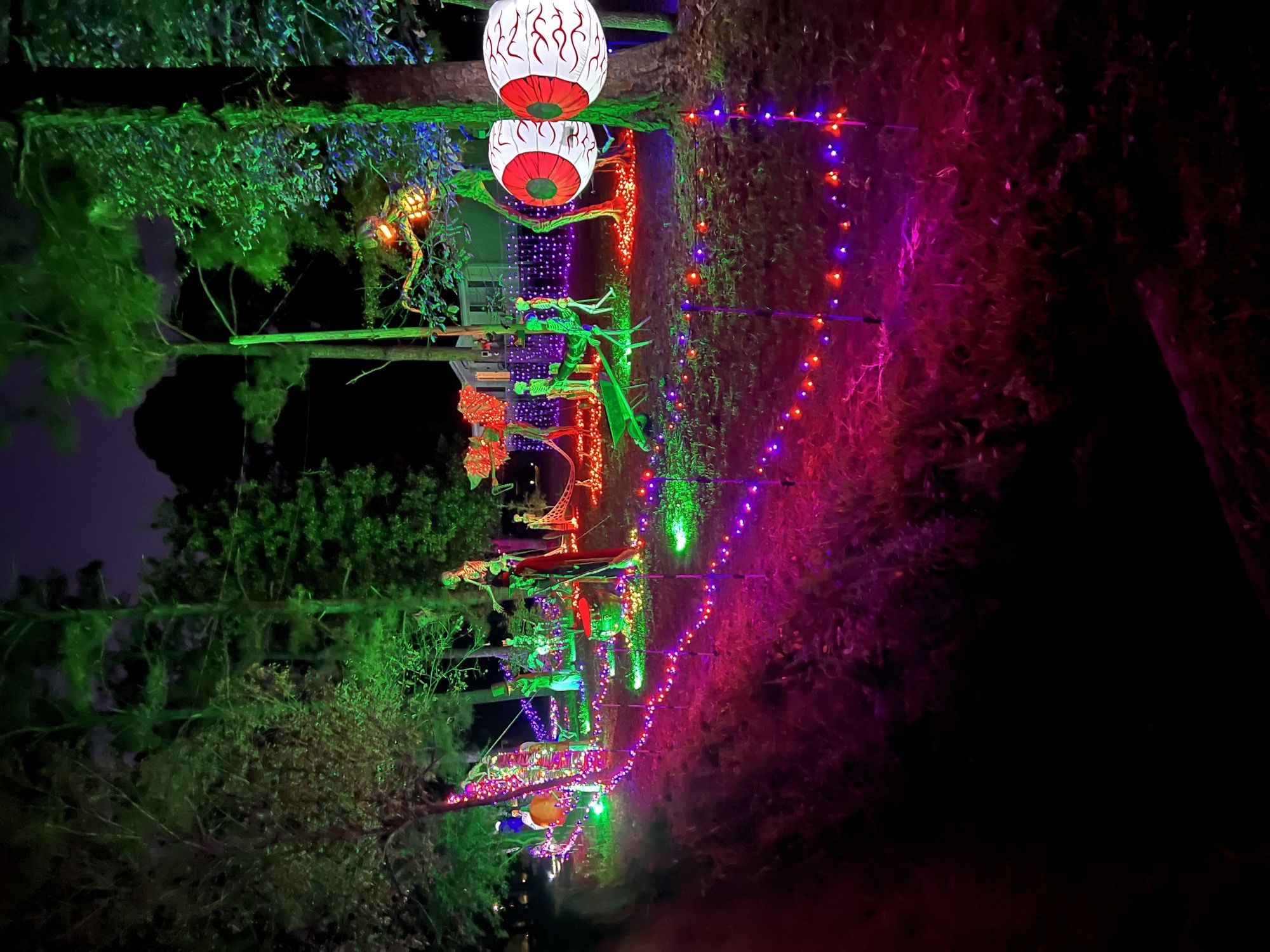 Turnerosa Haunt