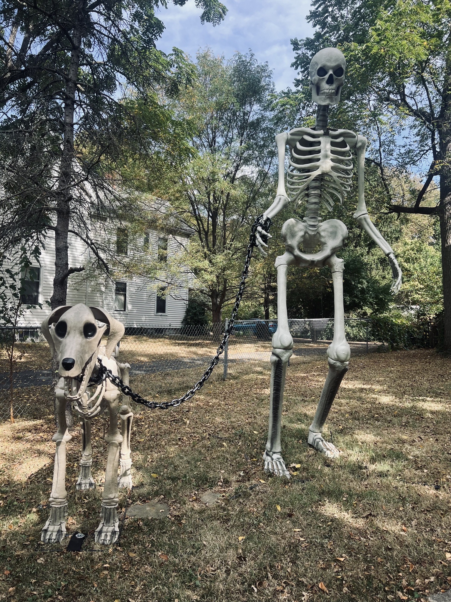 Skeleton House — halloween display in Cincinnati, OH