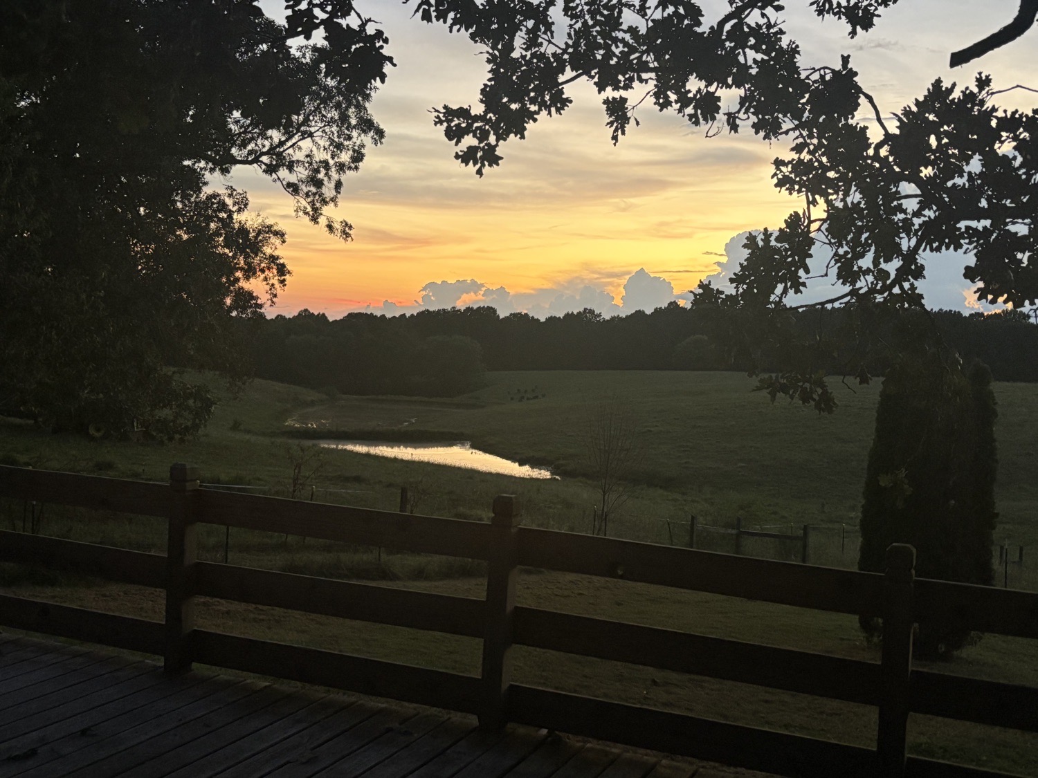Four Oaks Stables