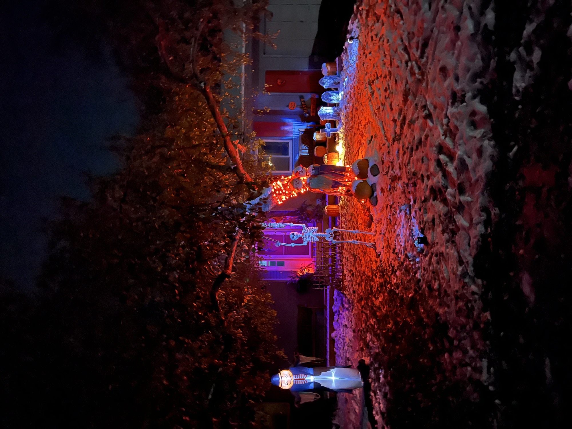 House Of The Dead