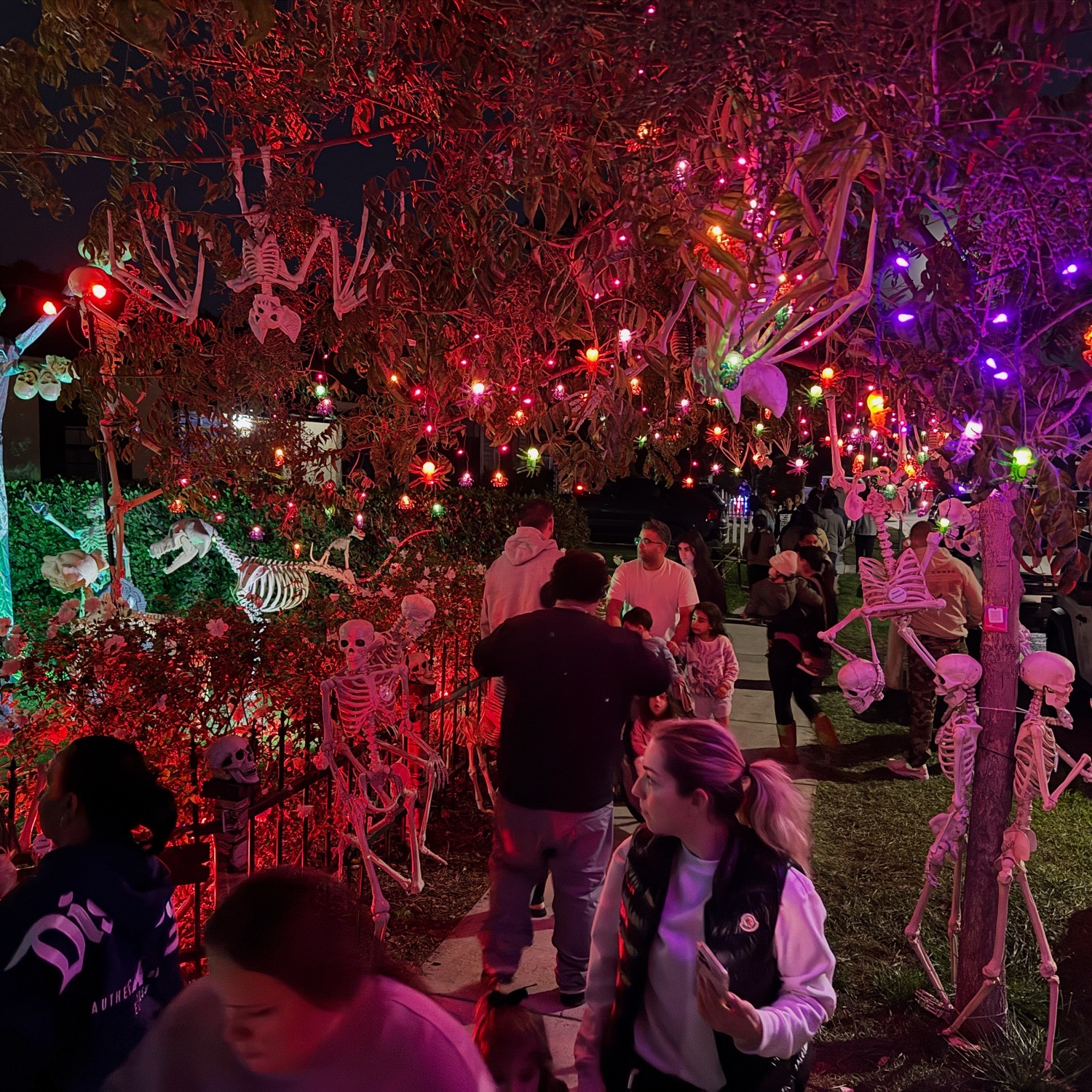Burbank Skeleton House