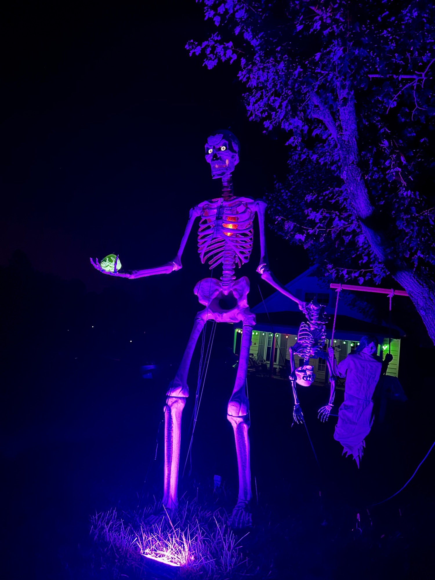 Skelly And Friends