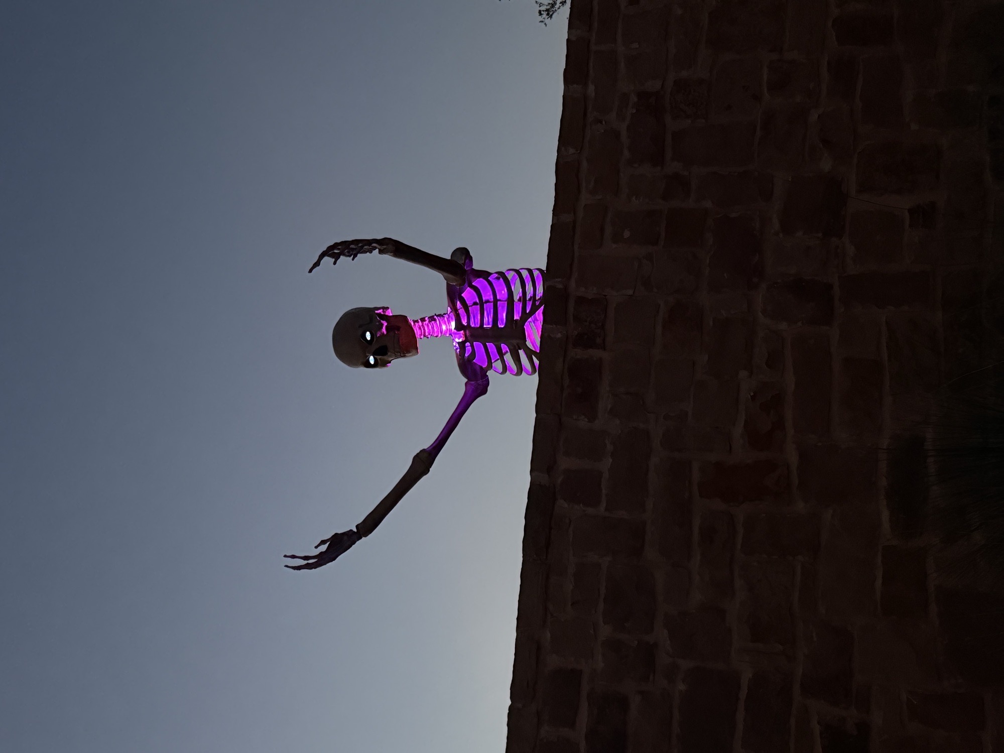 Tanager Taunt