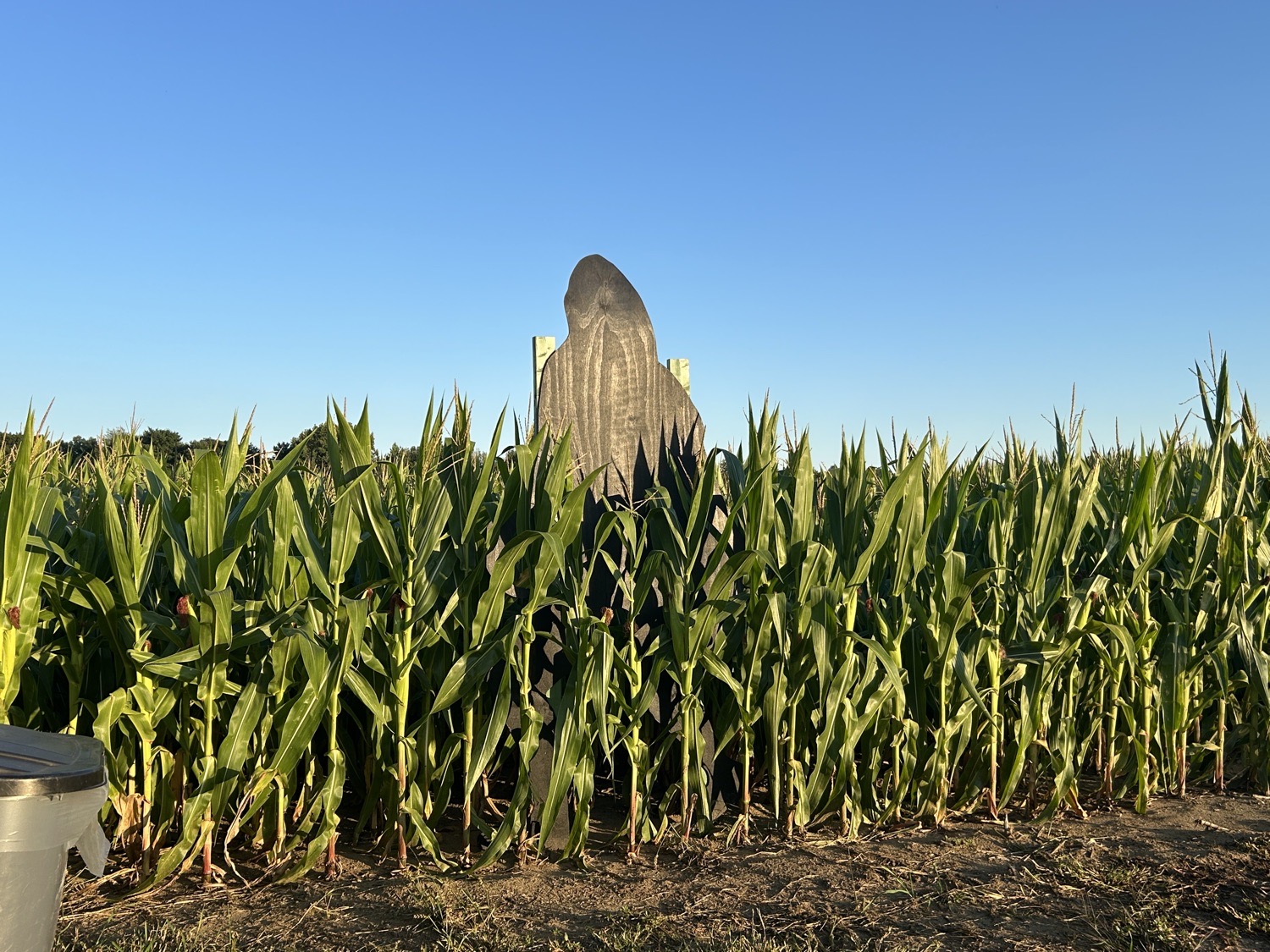 Sam Mazza’s Farm Corn Maze