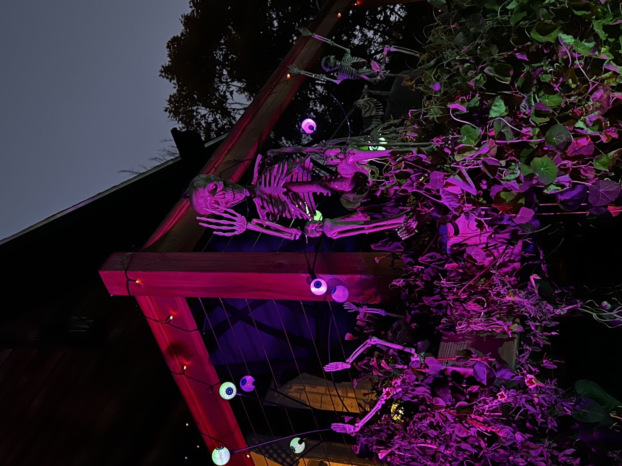 The Appleton Village Bone Yard