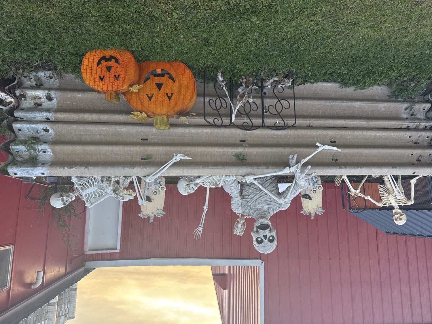 Hidden Pumpkin Patch