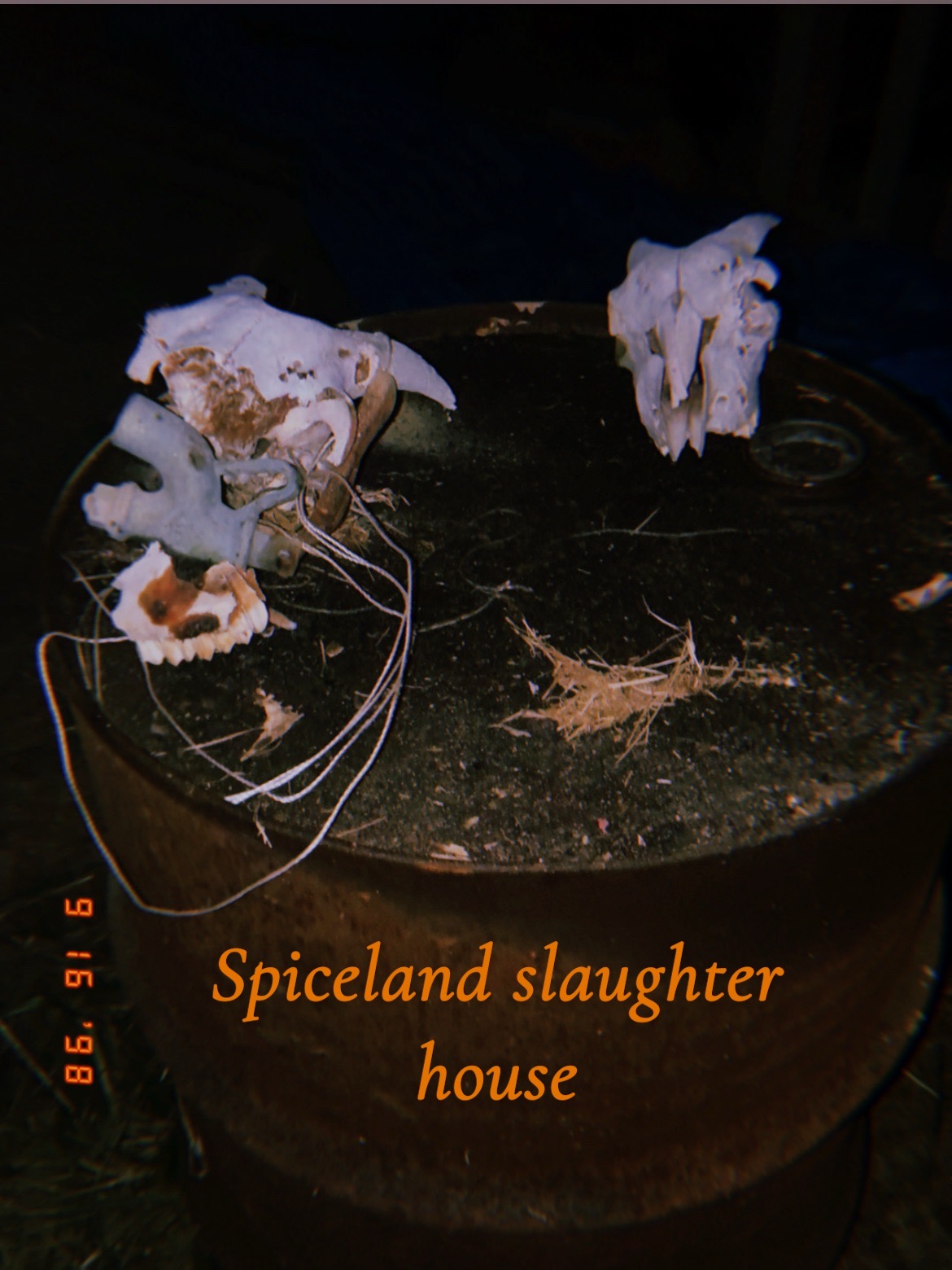 Spiceland Slaughter House