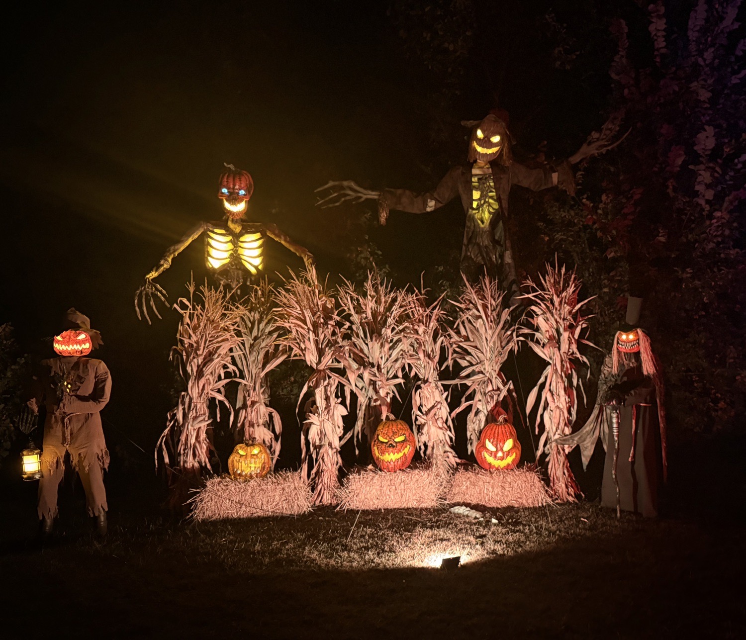 Middletown’s Hallowed Harvest