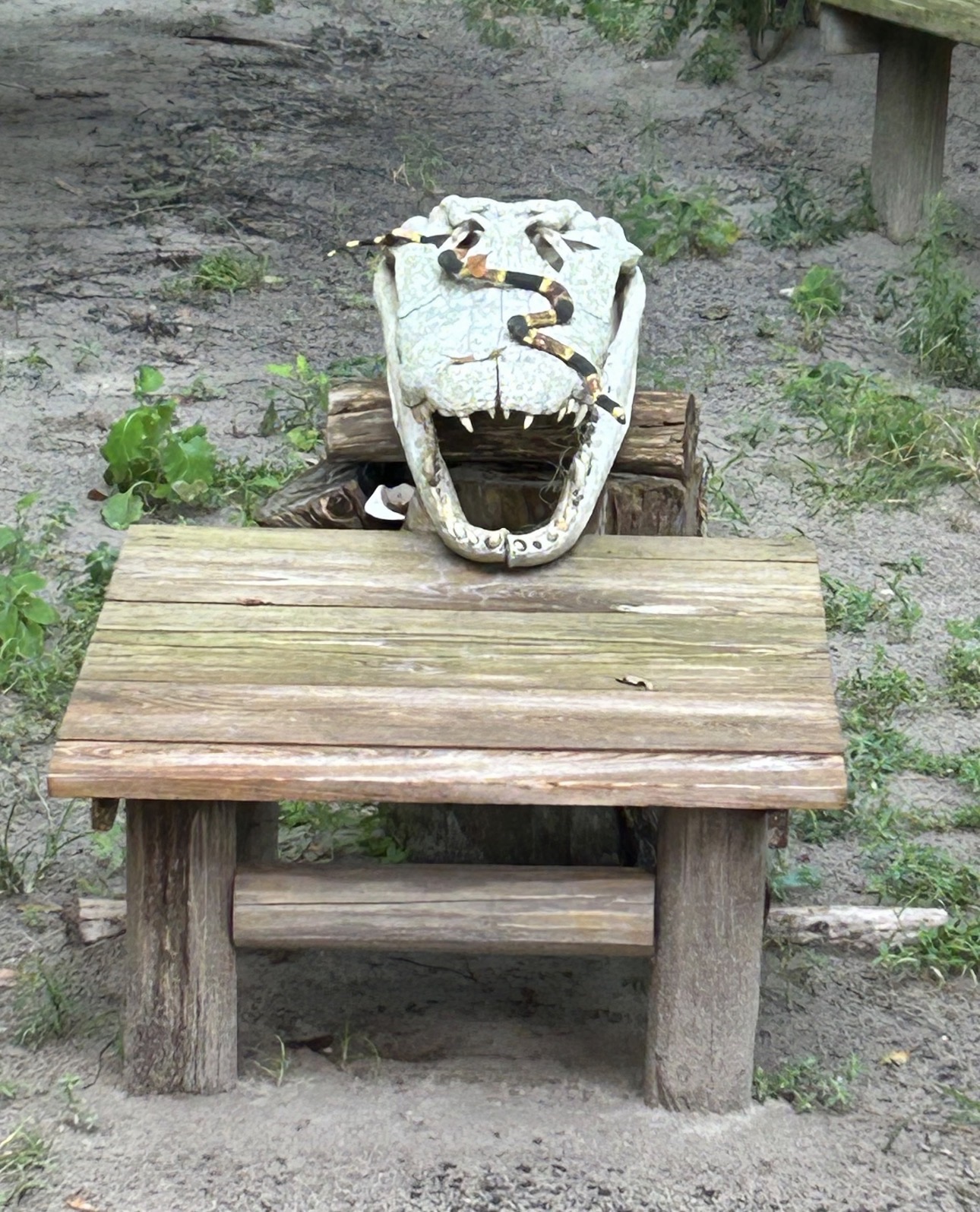 Boggy Creek Scare Event