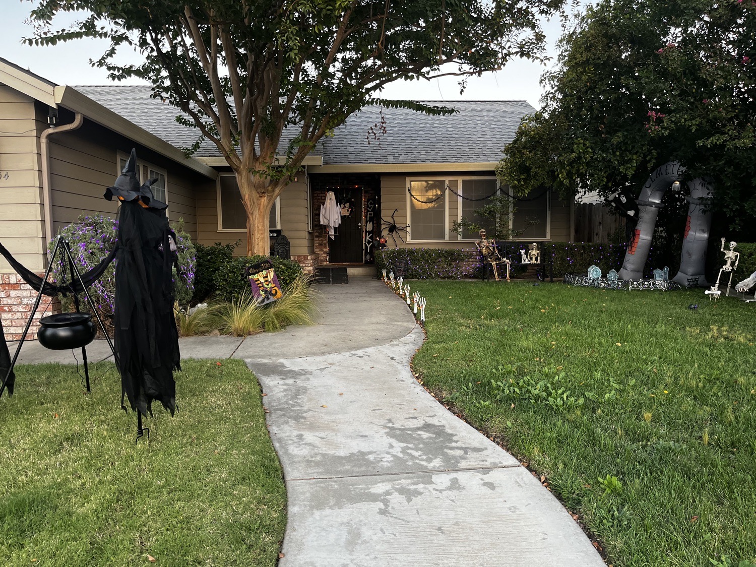 Witches And skeletons