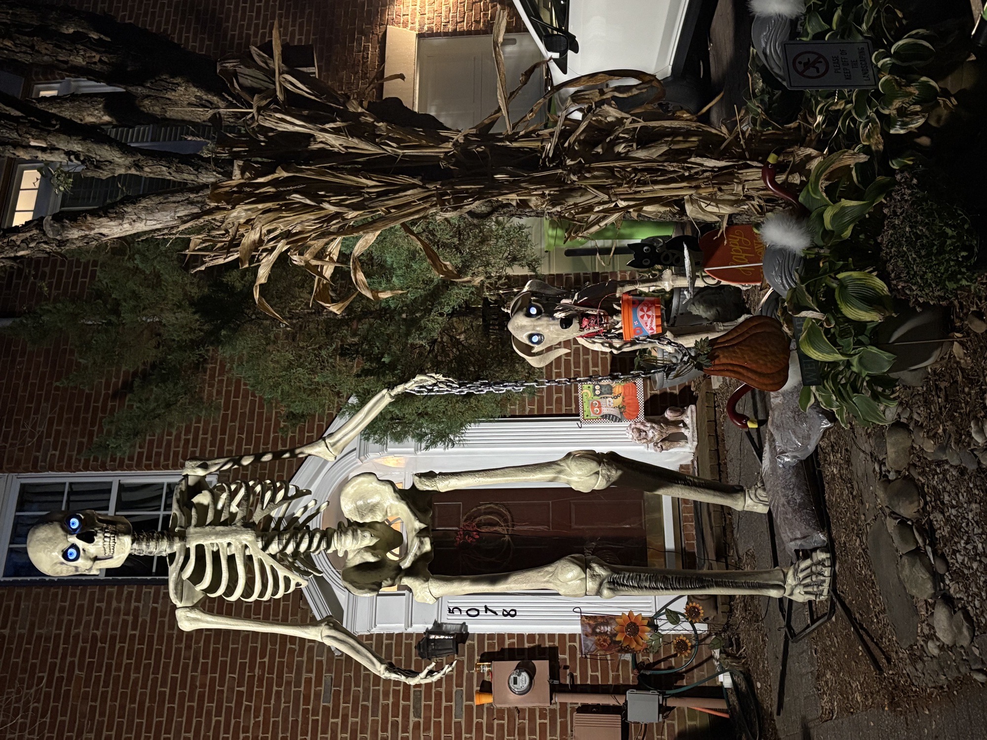 Gene Skelly & Clifford the Big Dead Dog