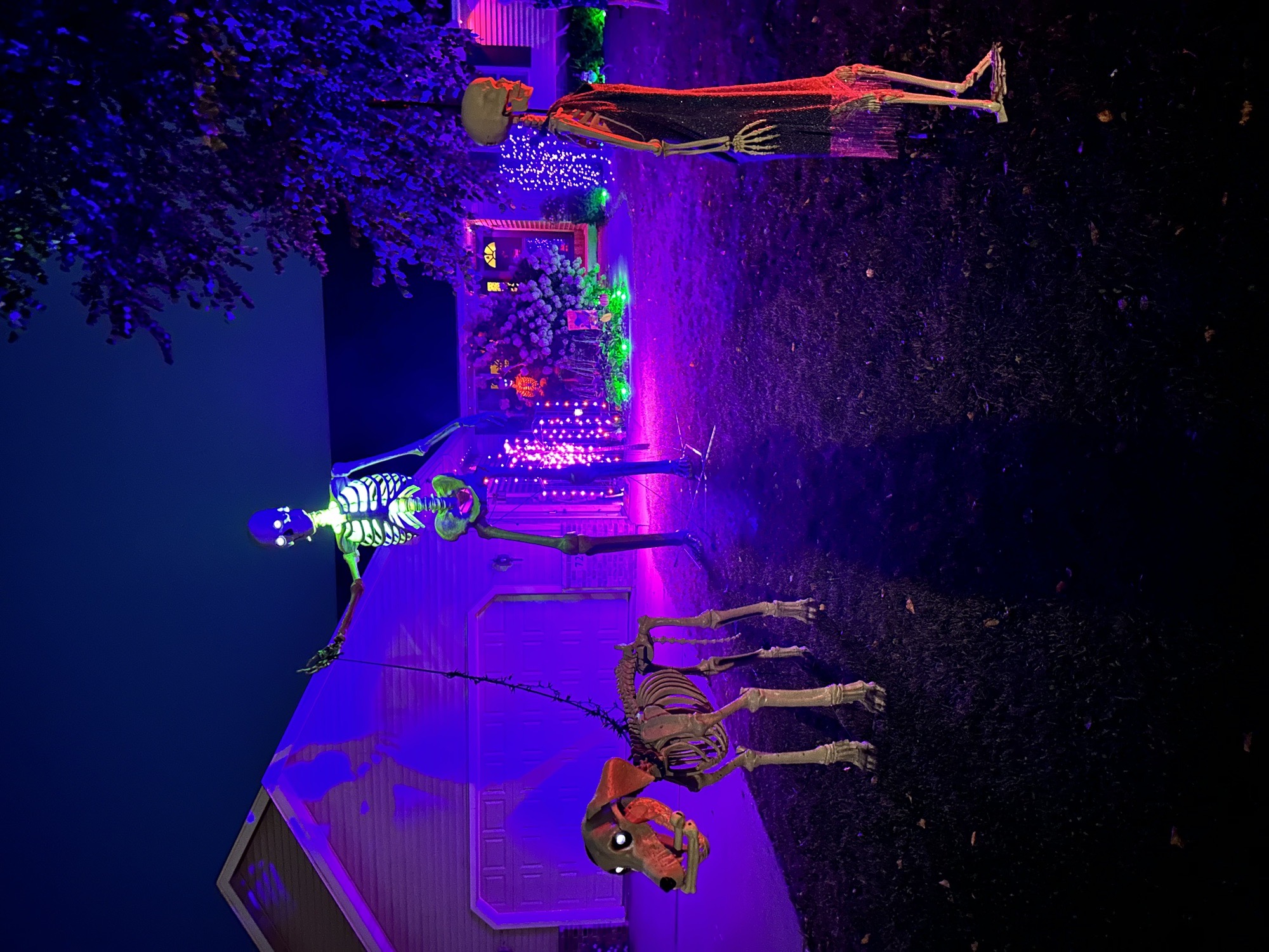 No Bones About This House