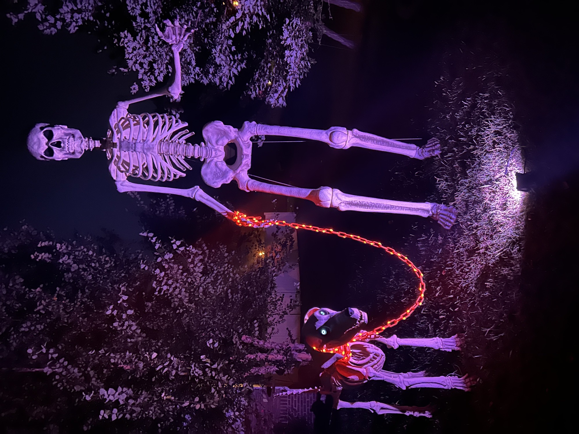 Spooktober near warriors state park!