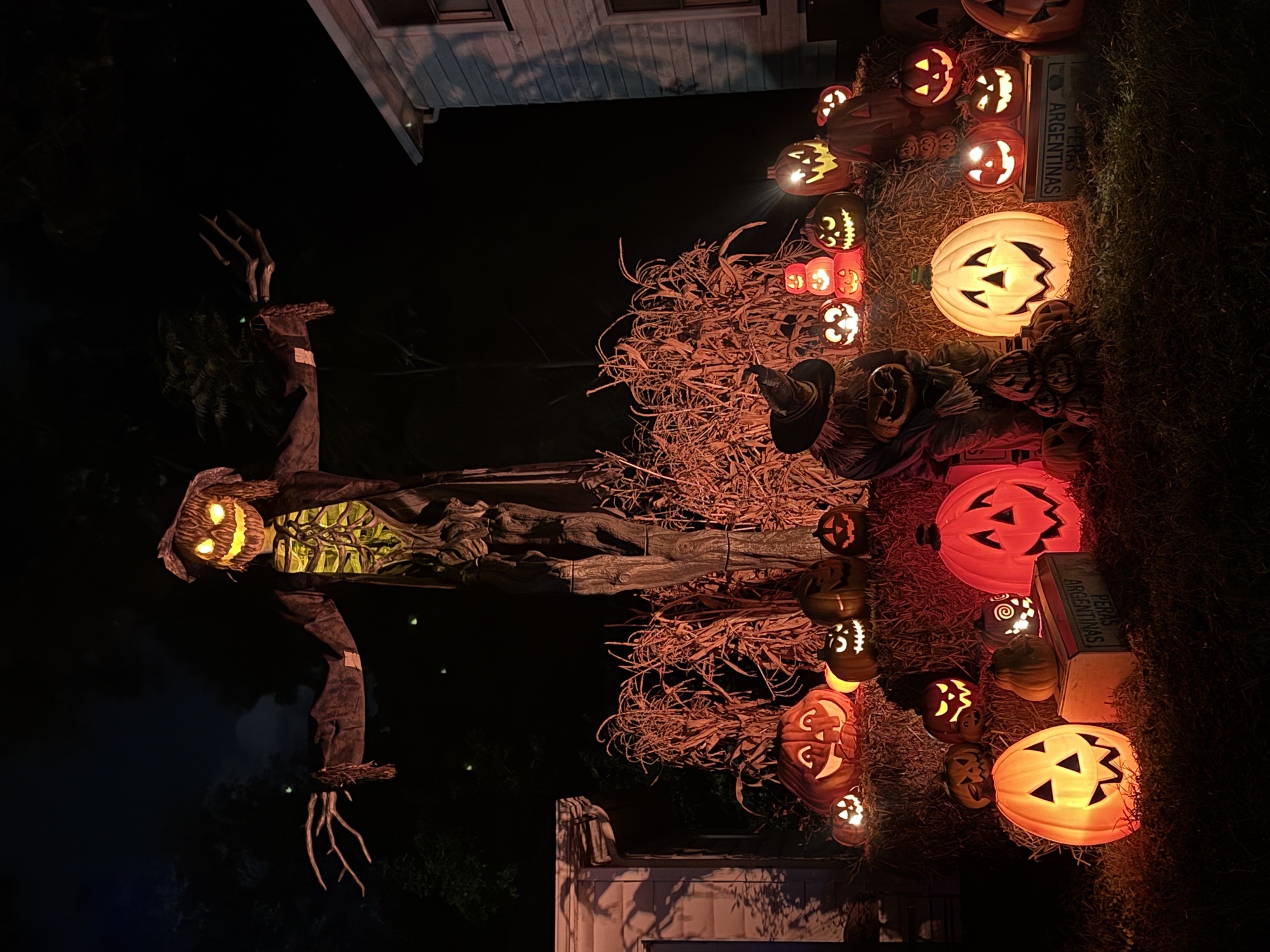 Hanson’s Halloween House