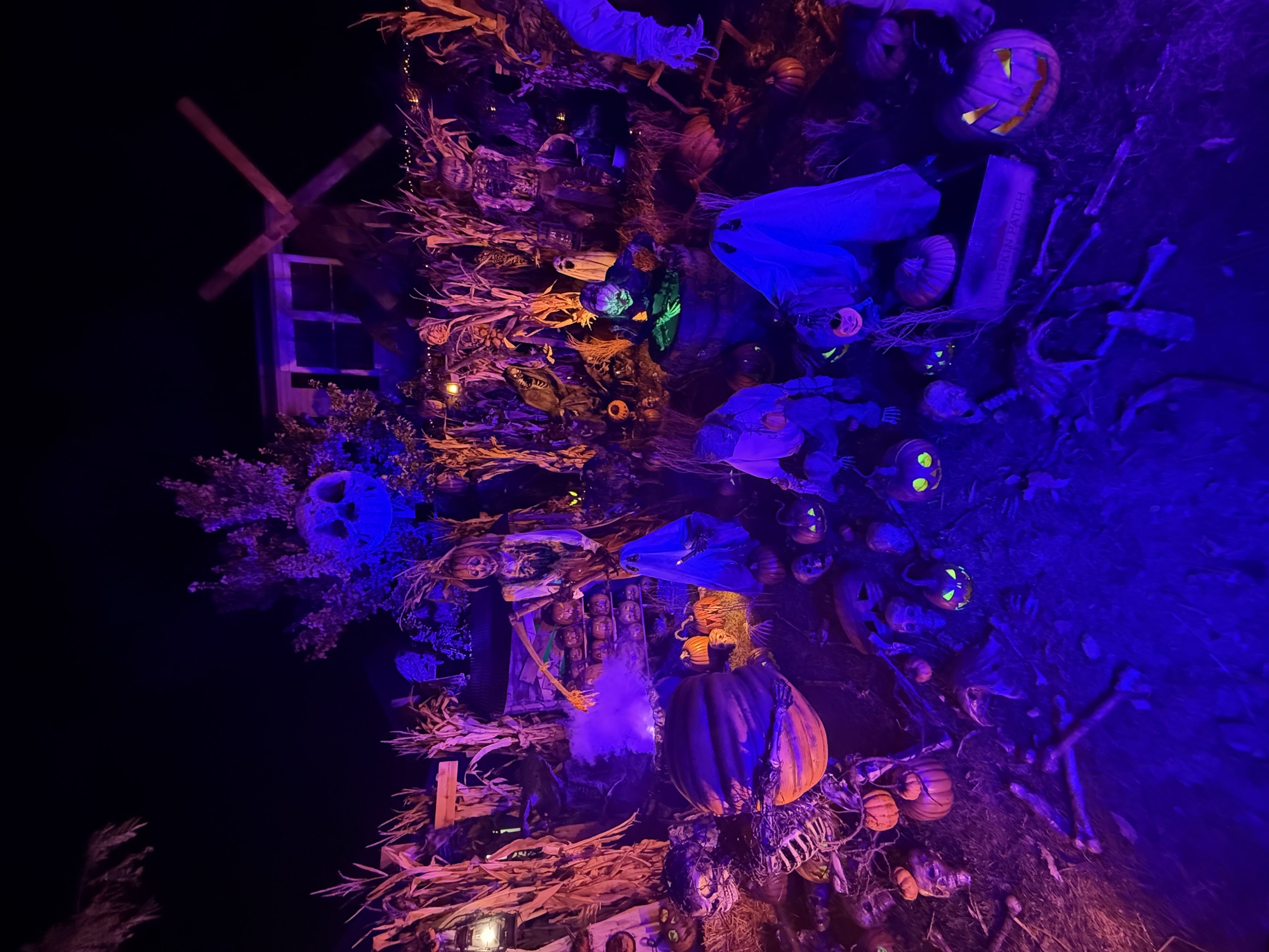 Pumpkin Riot