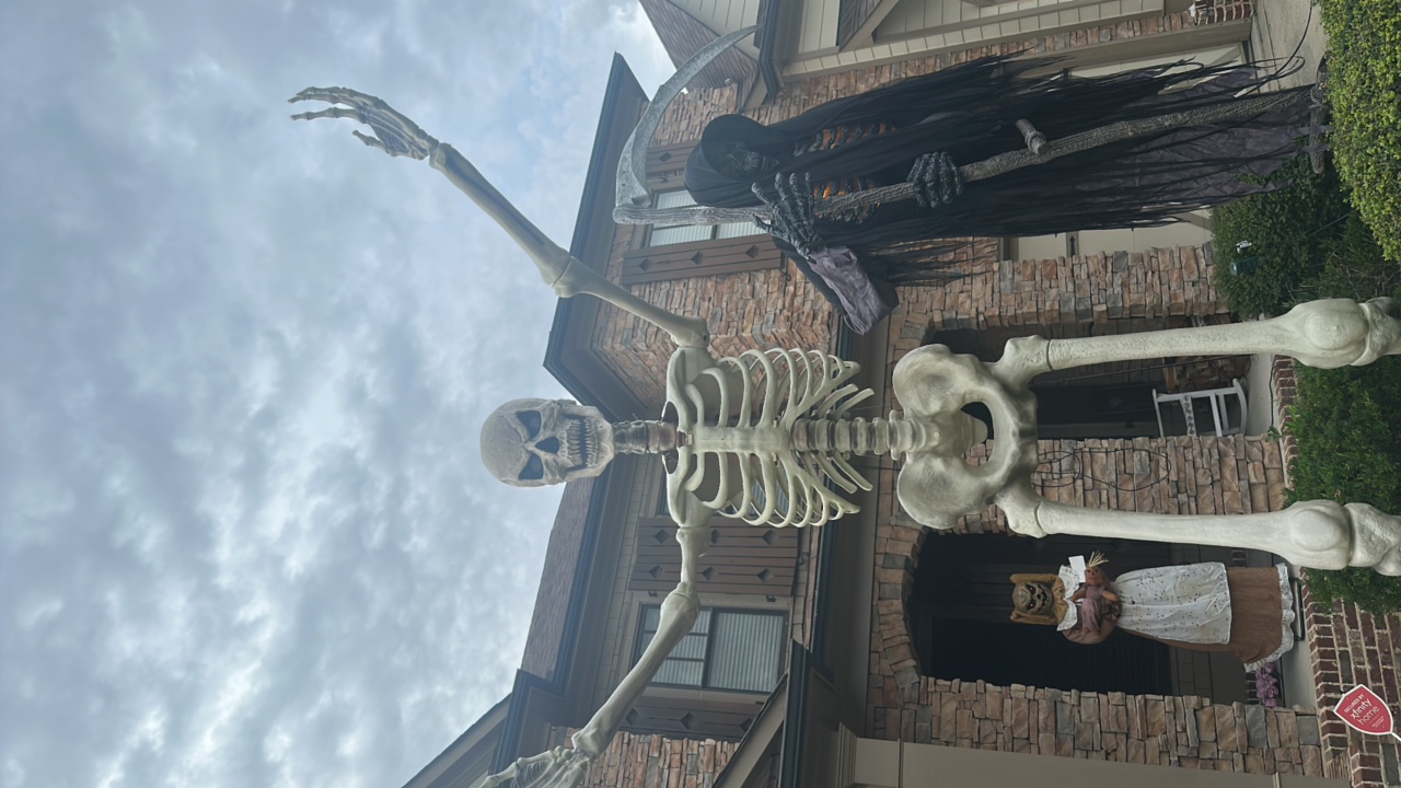 Skelly & Friends