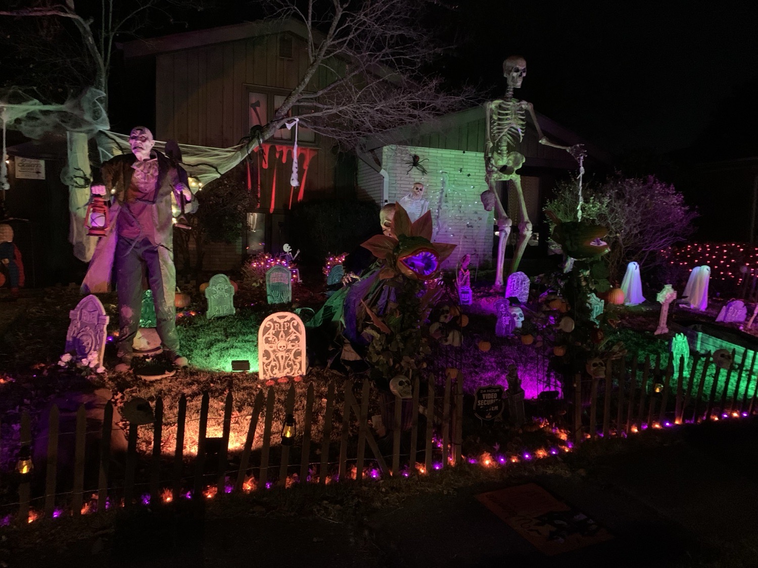 Cursed Hollow Cemetery