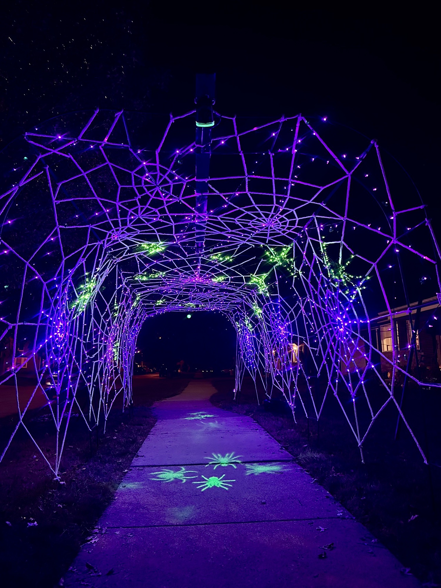 Wyandotte Spider House