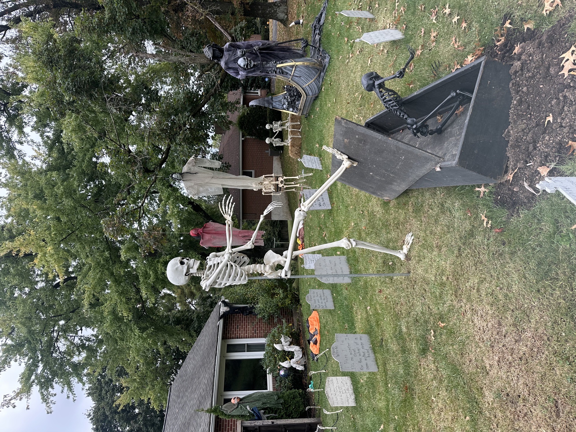 Spooky Scary Skeletons