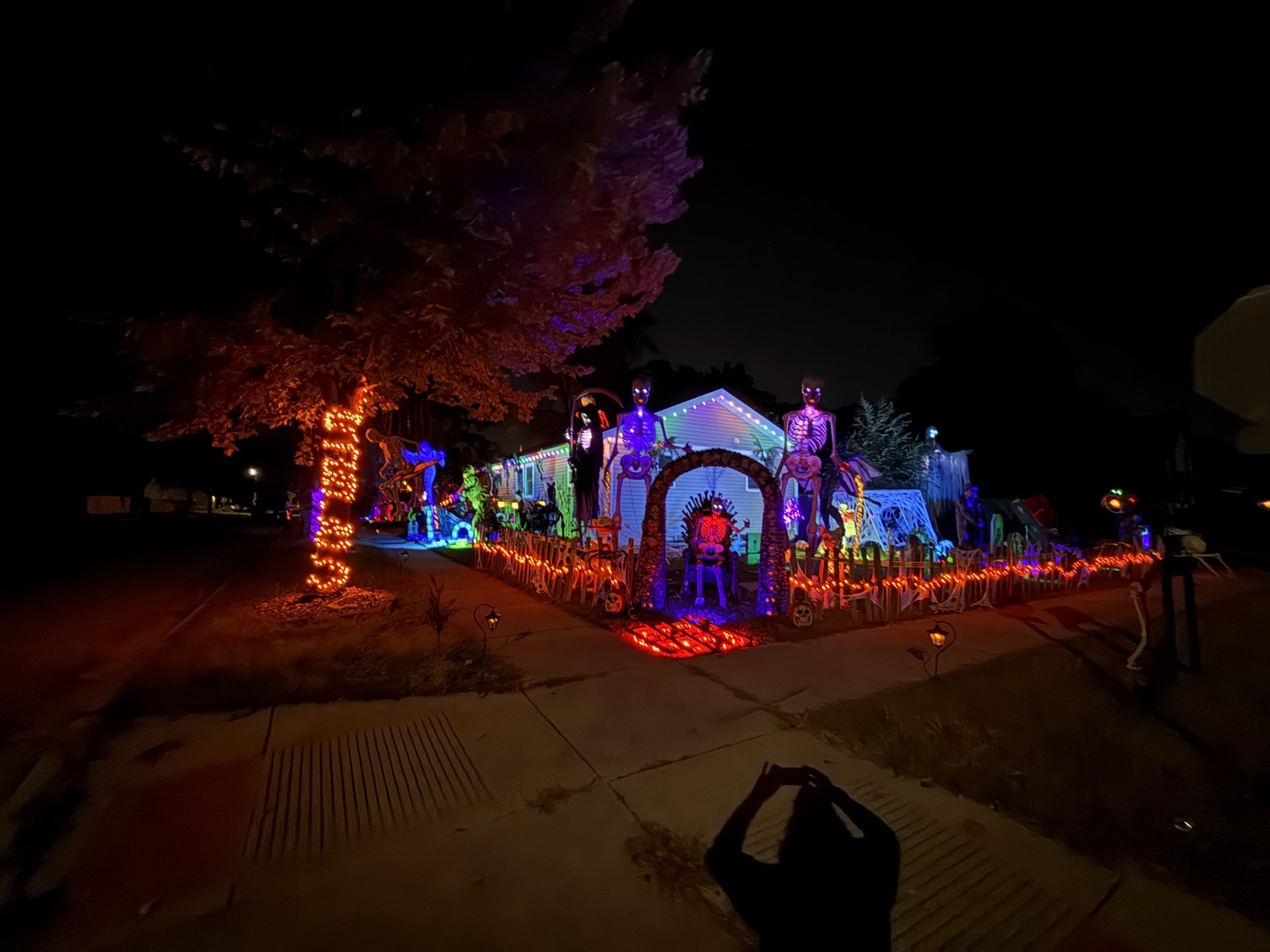 The Bone Yard